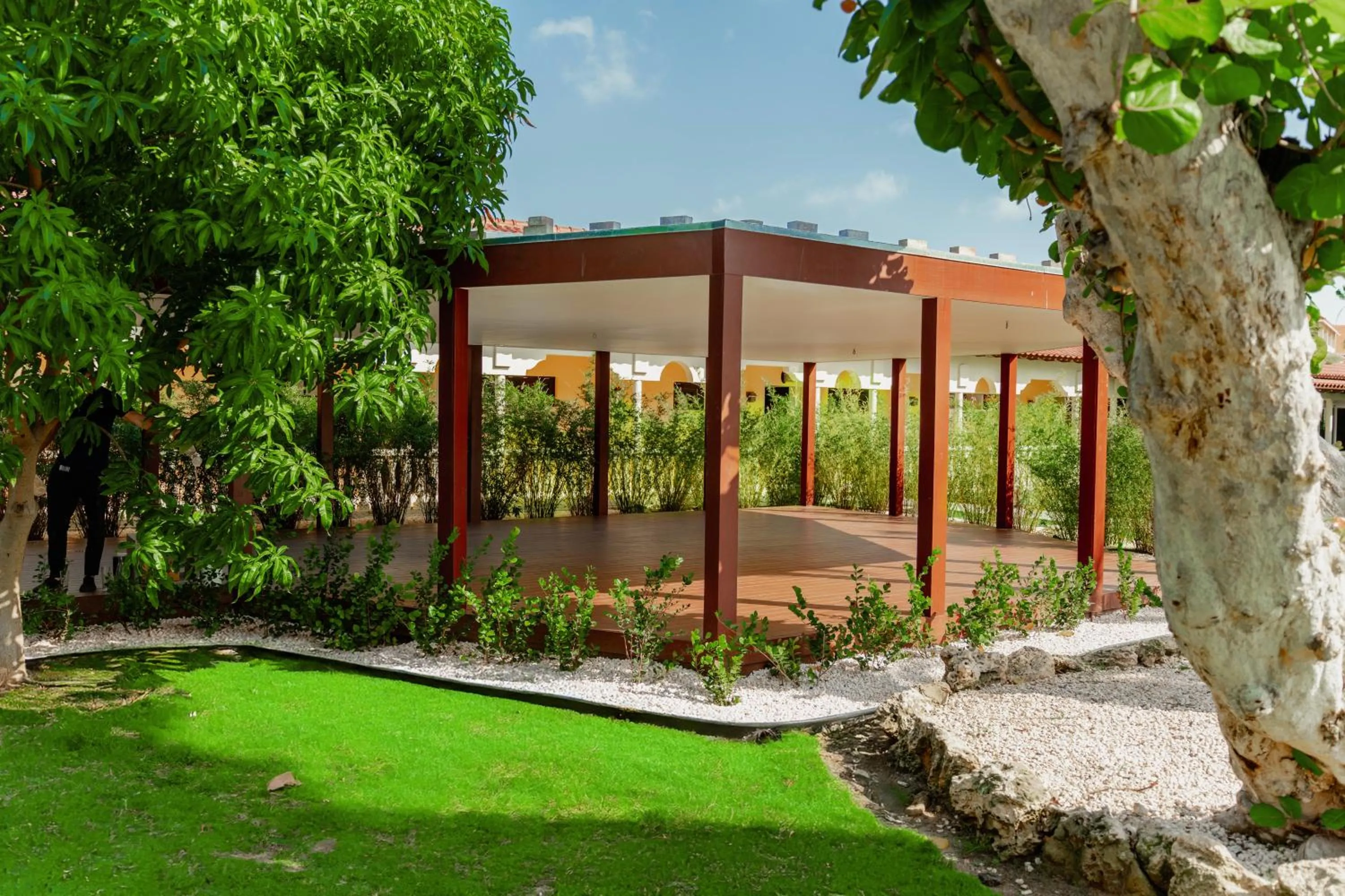 Natural landscape in Bucuti & Tara Boutique Beach Resort - Adult Only