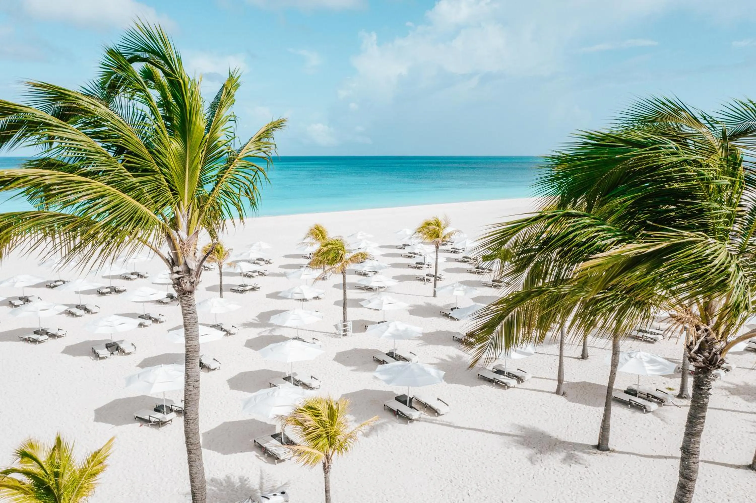 Natural landscape in Bucuti & Tara Boutique Beach Resort - Adult Only