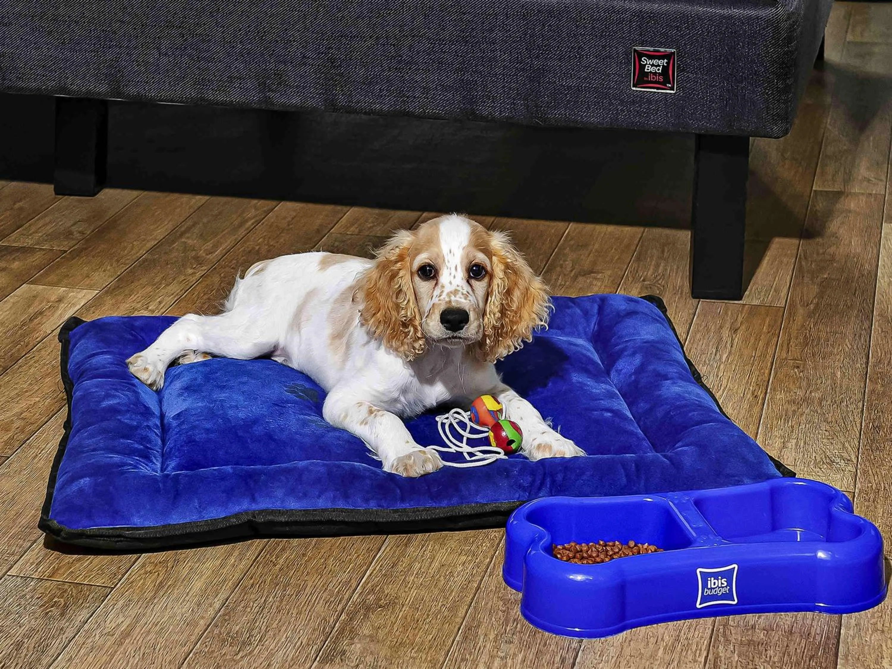 Other in ibis budget Lima Miraflores