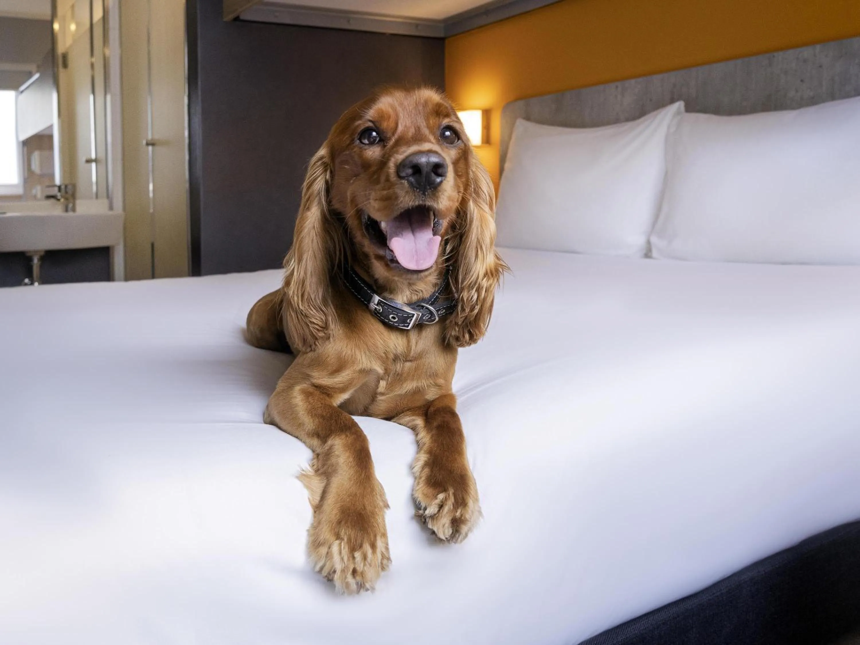 Other, Bed in ibis budget Lima Miraflores