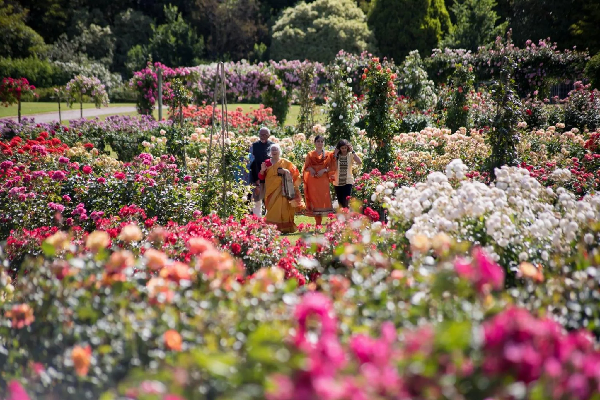 Area and facilities in Holiday Inn Werribee by IHG
