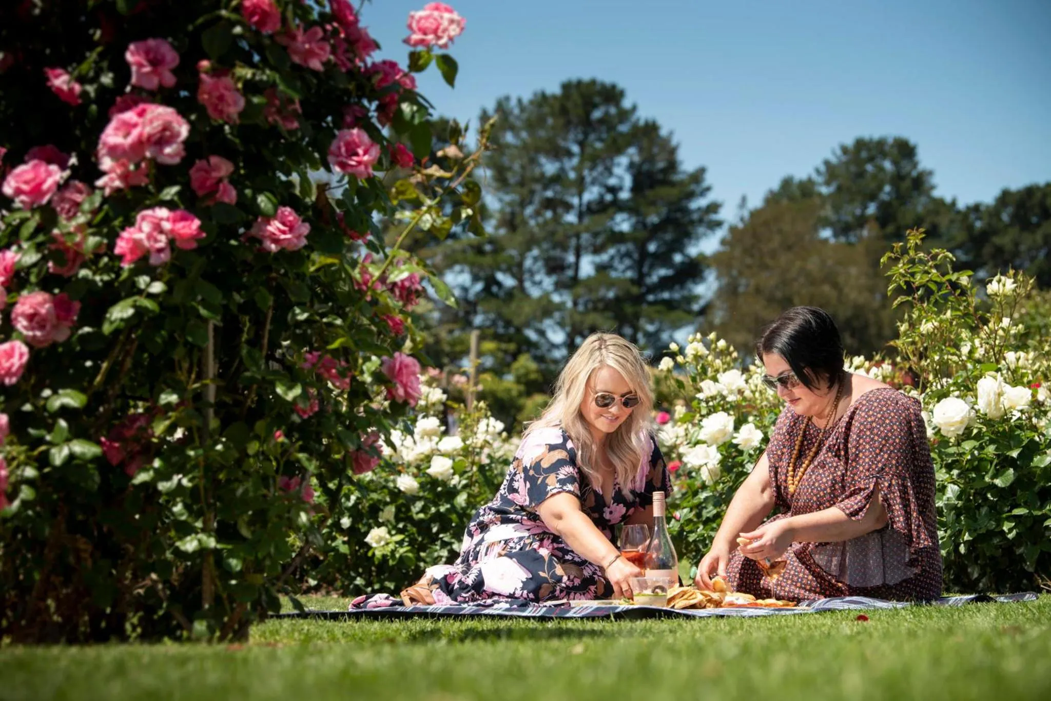 Area and facilities in Holiday Inn Werribee by IHG