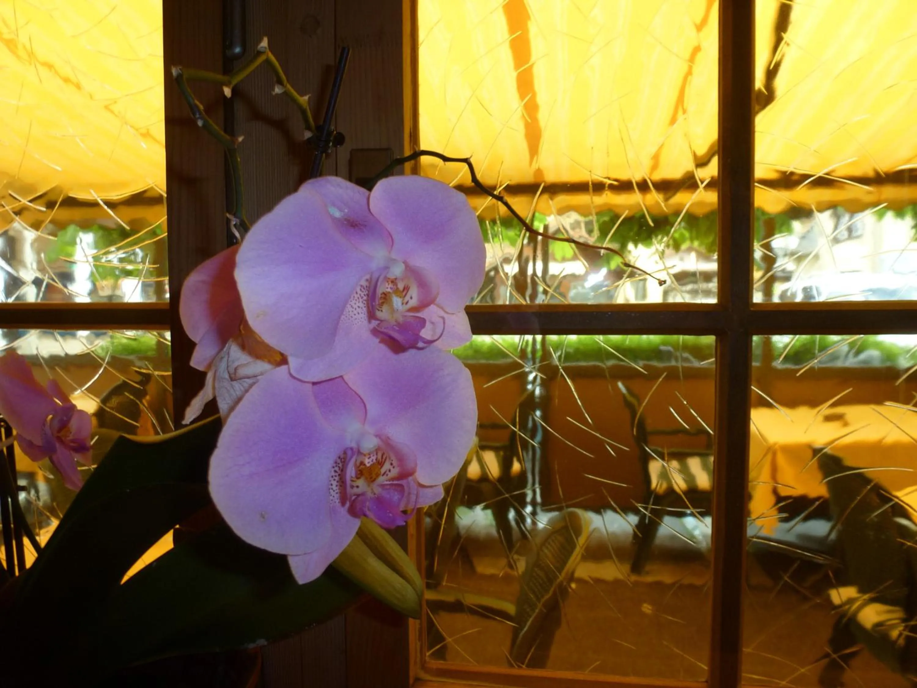 Decorative detail in Post Hardermannli