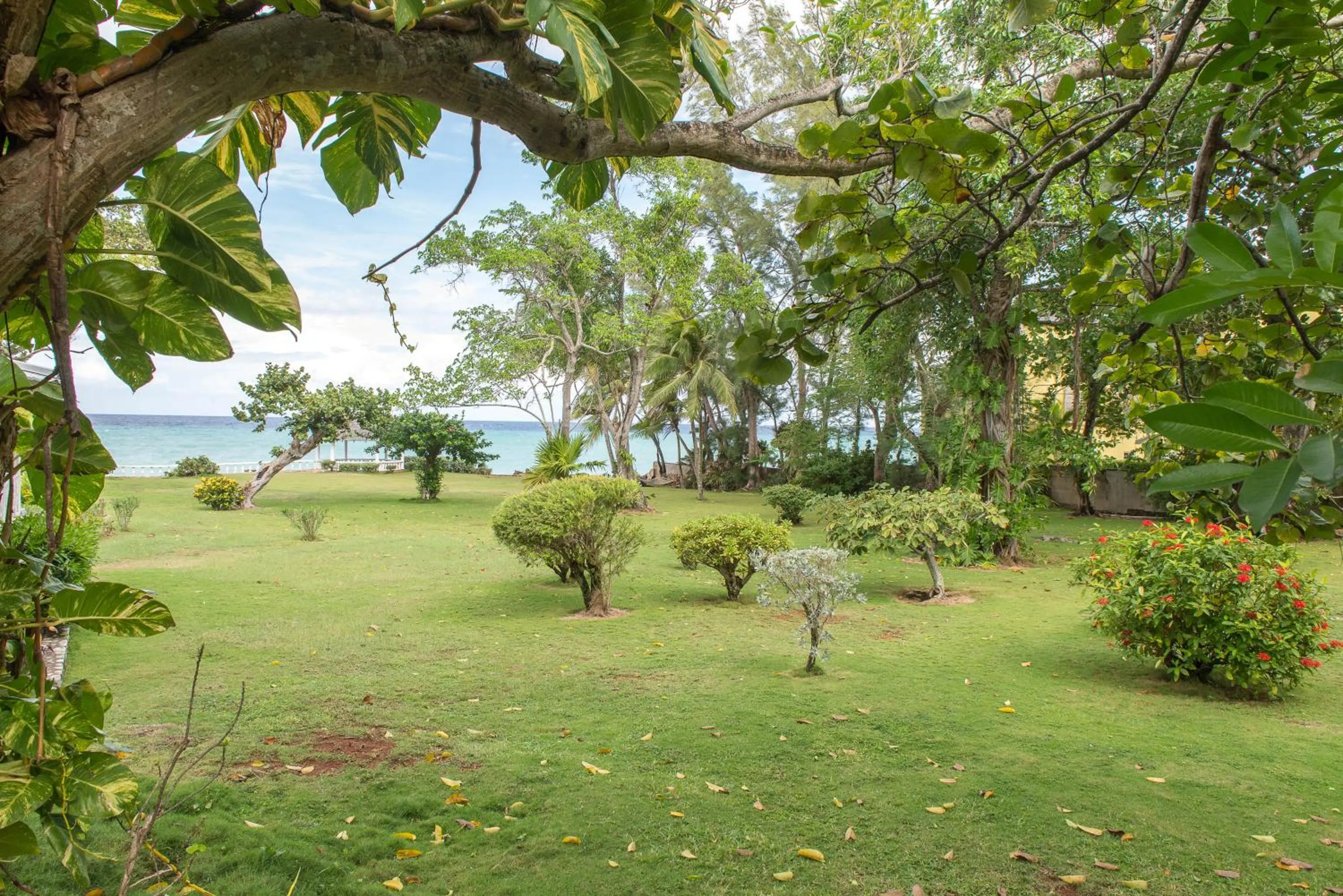 Garden in Villa Viento