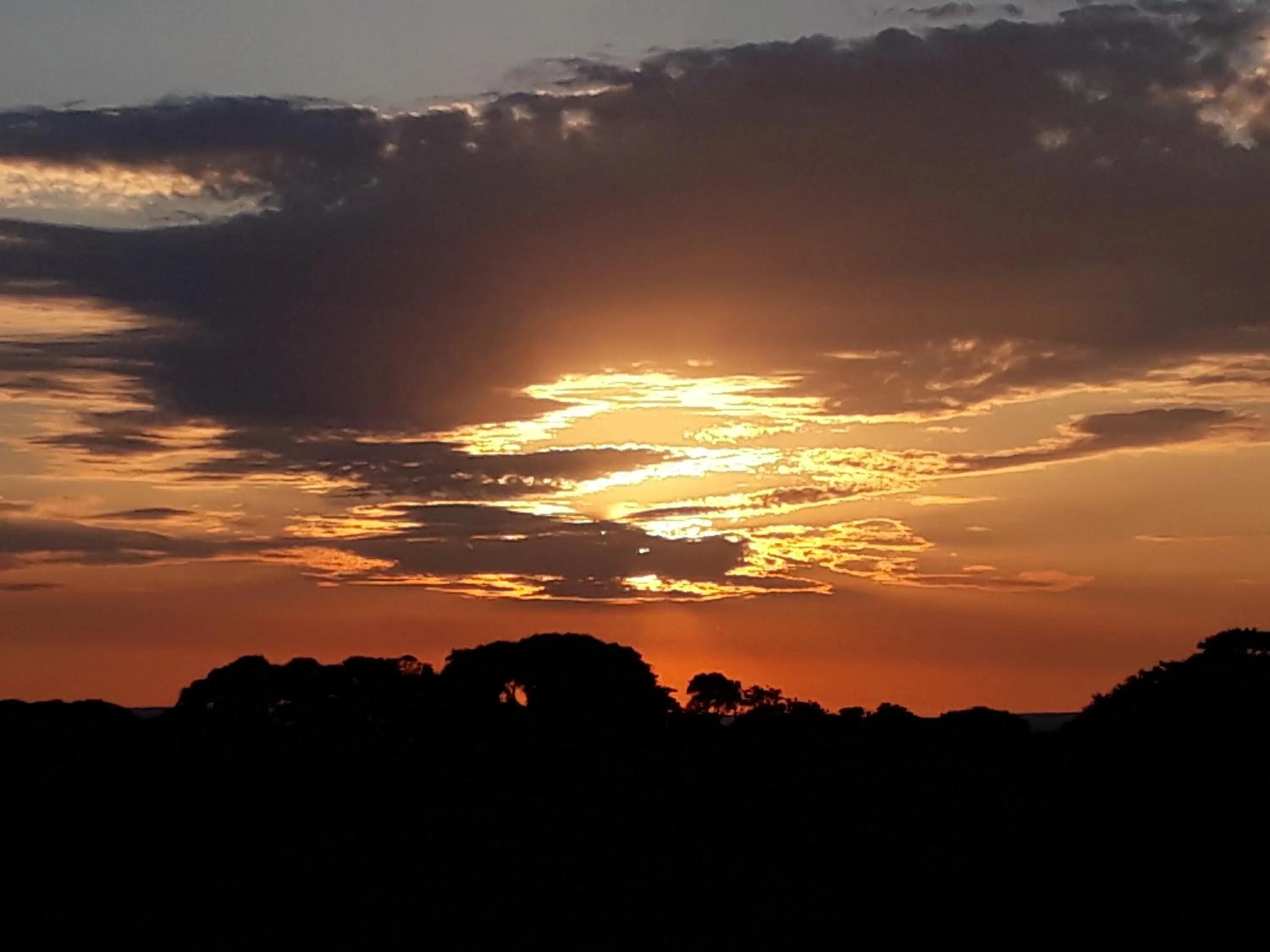 View (from property/room) in The Liscawn