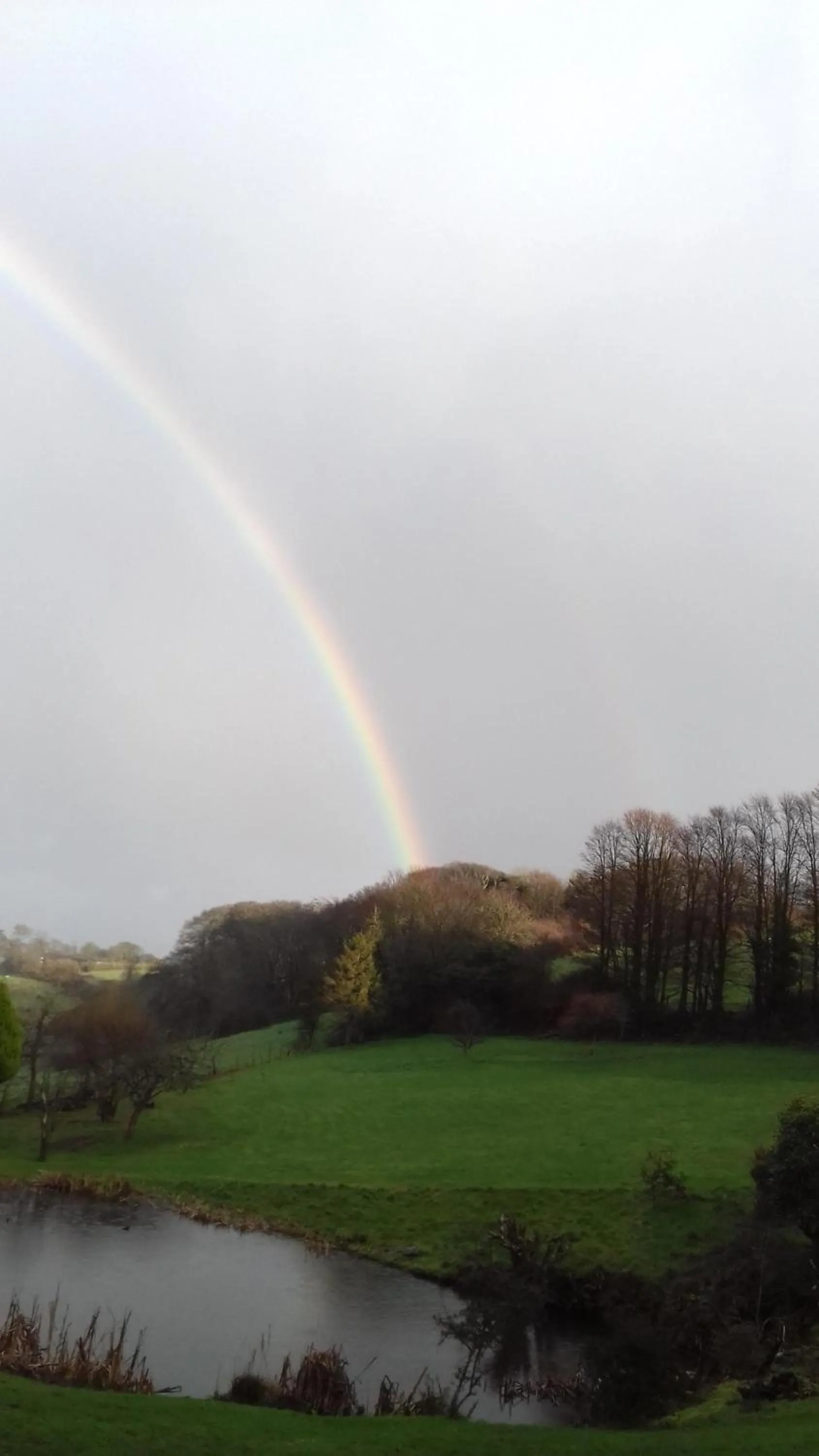 View (from property/room) in The Liscawn
