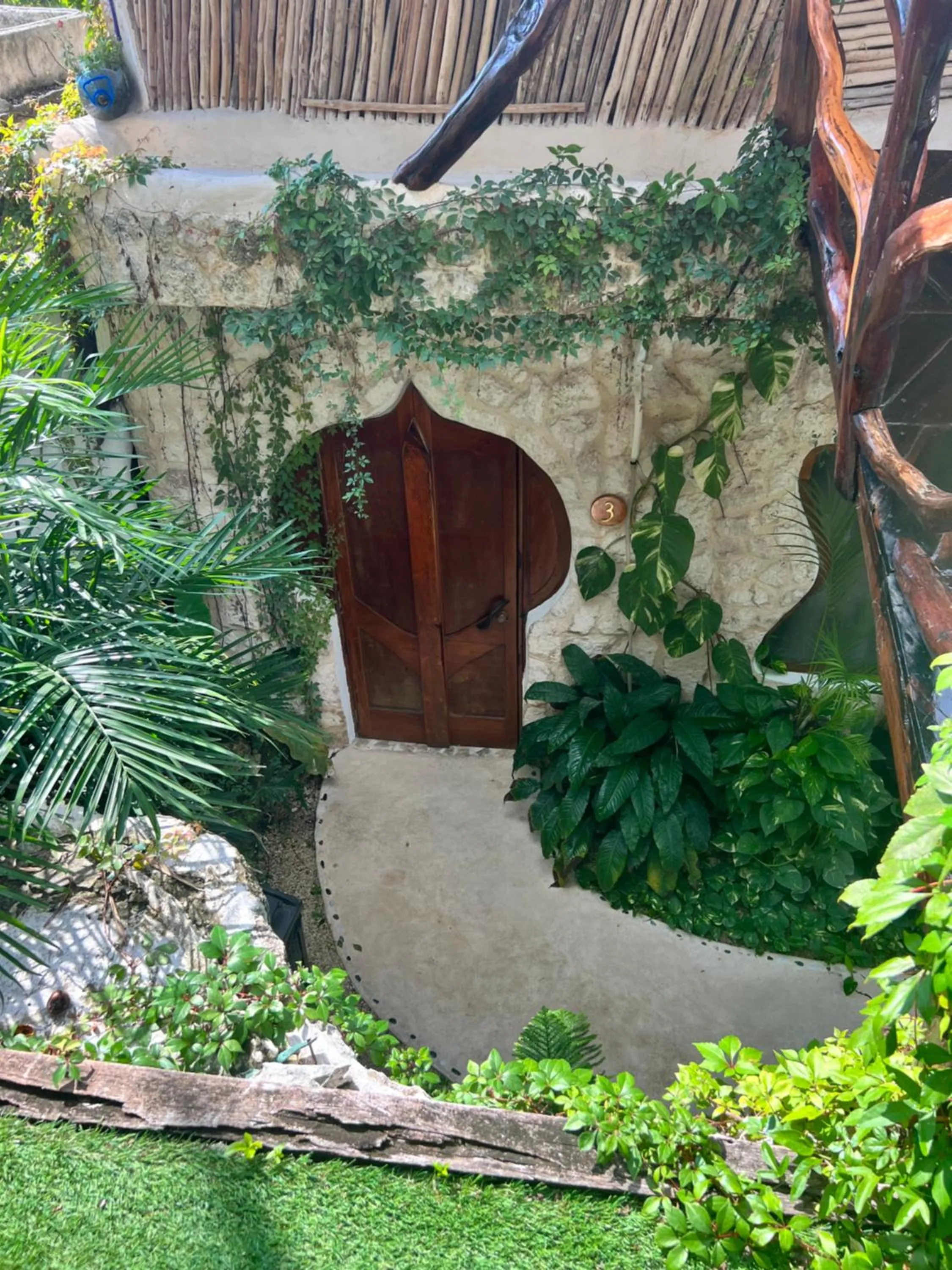 Day in La Quinta Orquídea