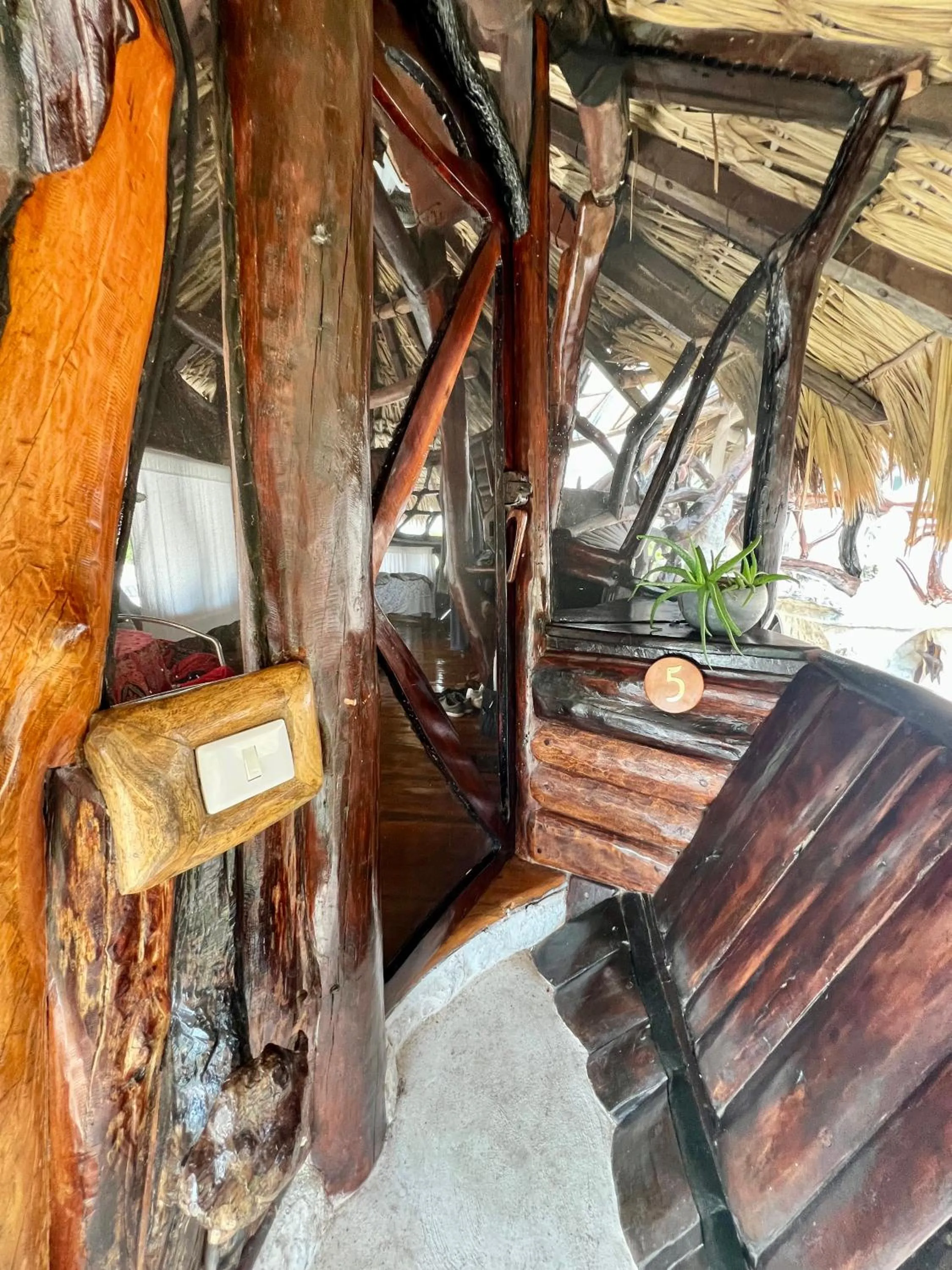 Property building in La Quinta Orquídea