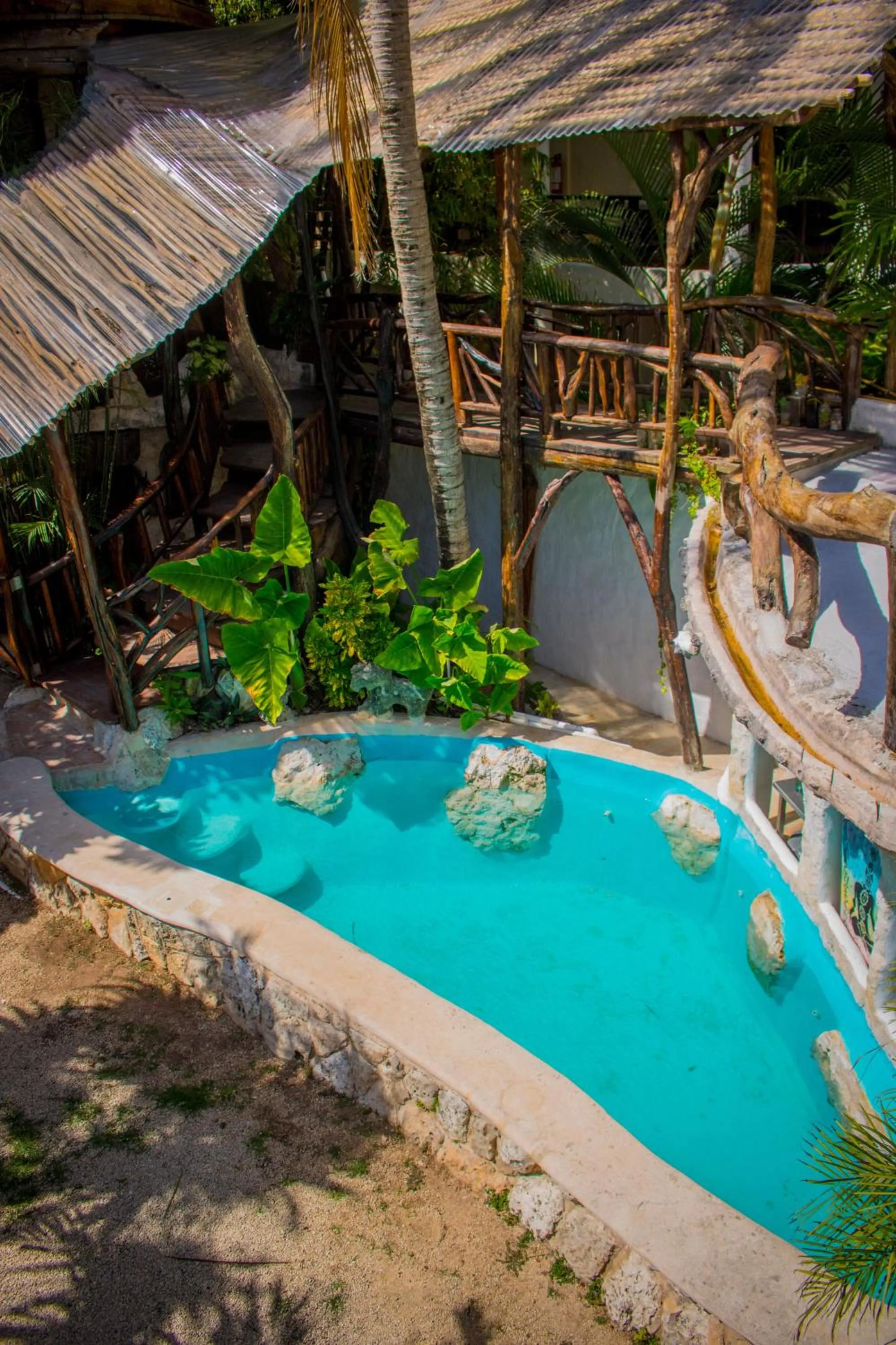 Swimming pool in La Quinta Orquídea