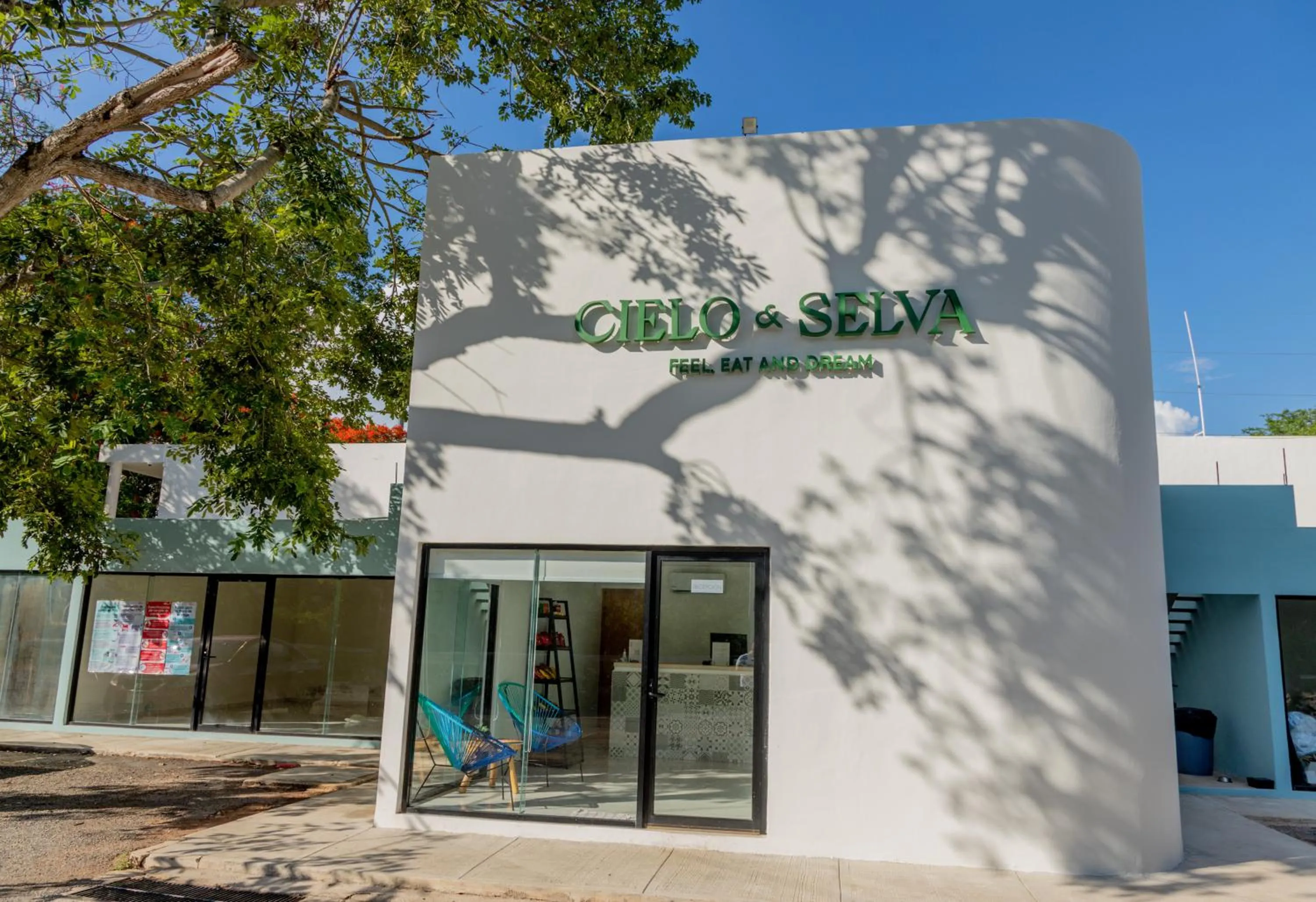 Property building in Cielo y Selva Tekax