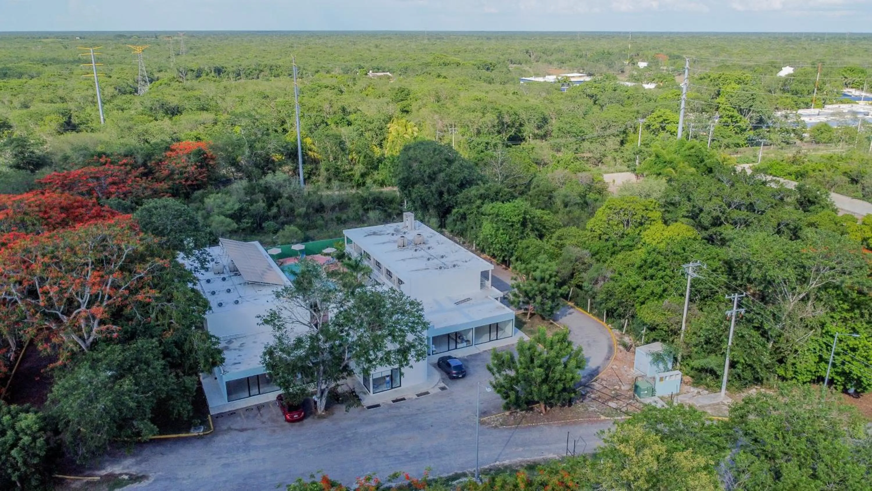 Bird's eye view in Cielo y Selva Tekax