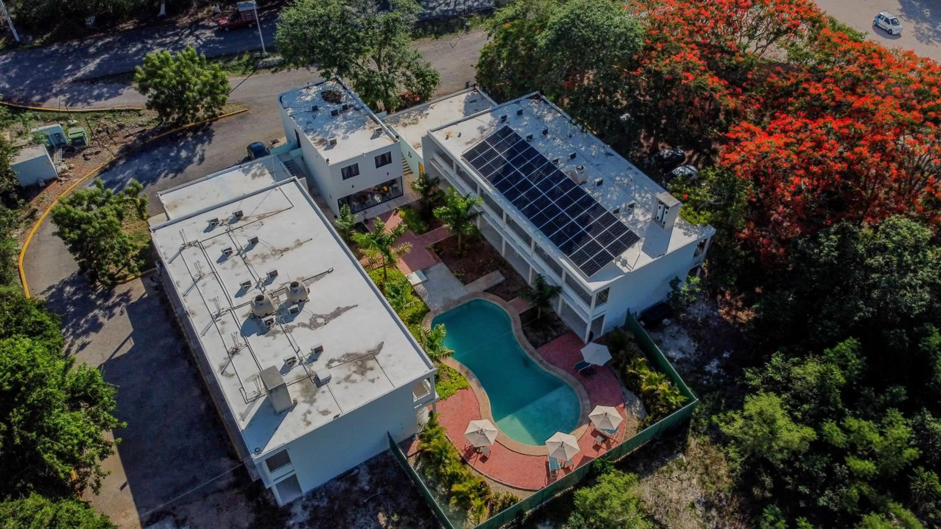 Bird's eye view in Cielo y Selva Tekax