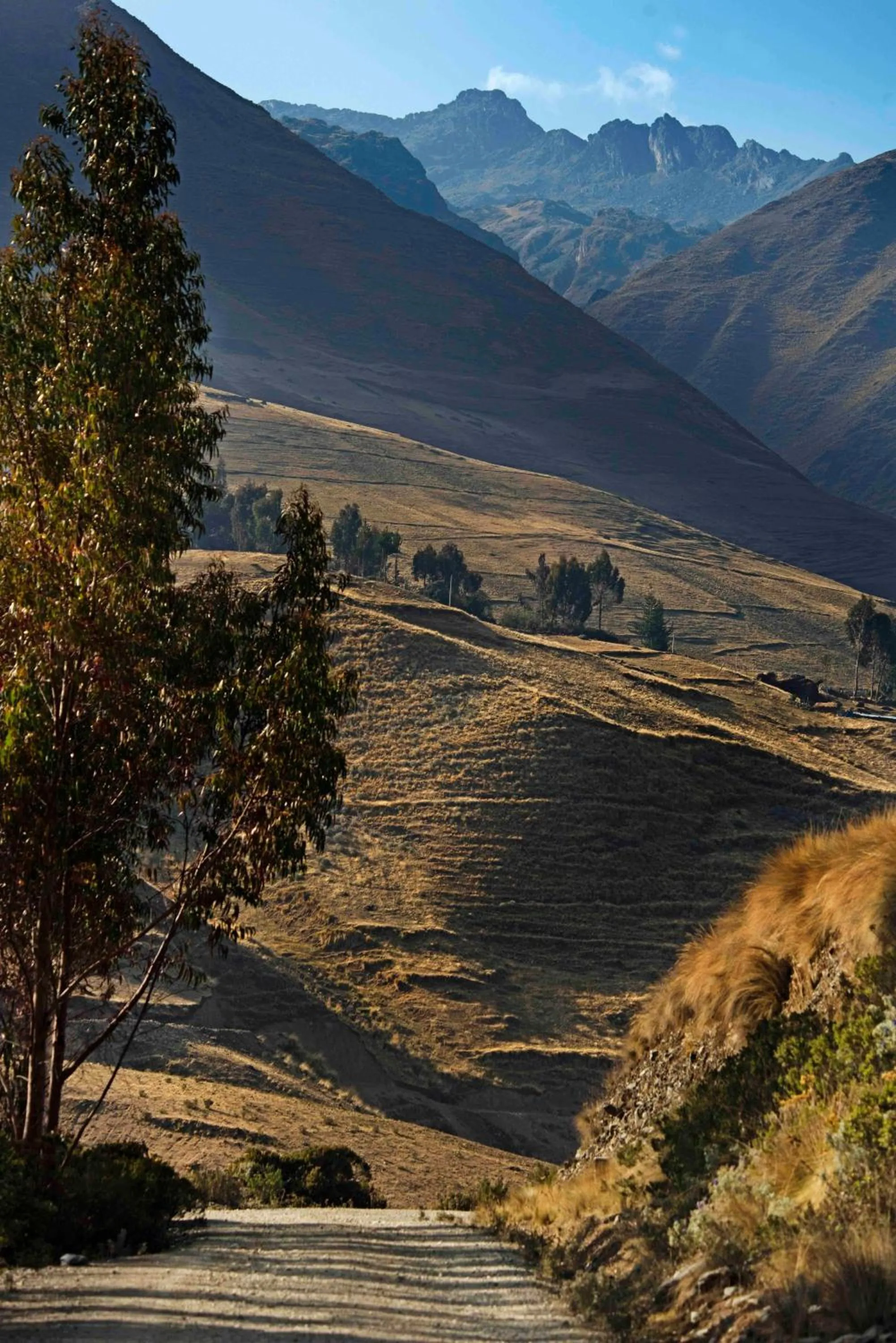 Activities in Las Qolqas EcoResort Ollantaytambo