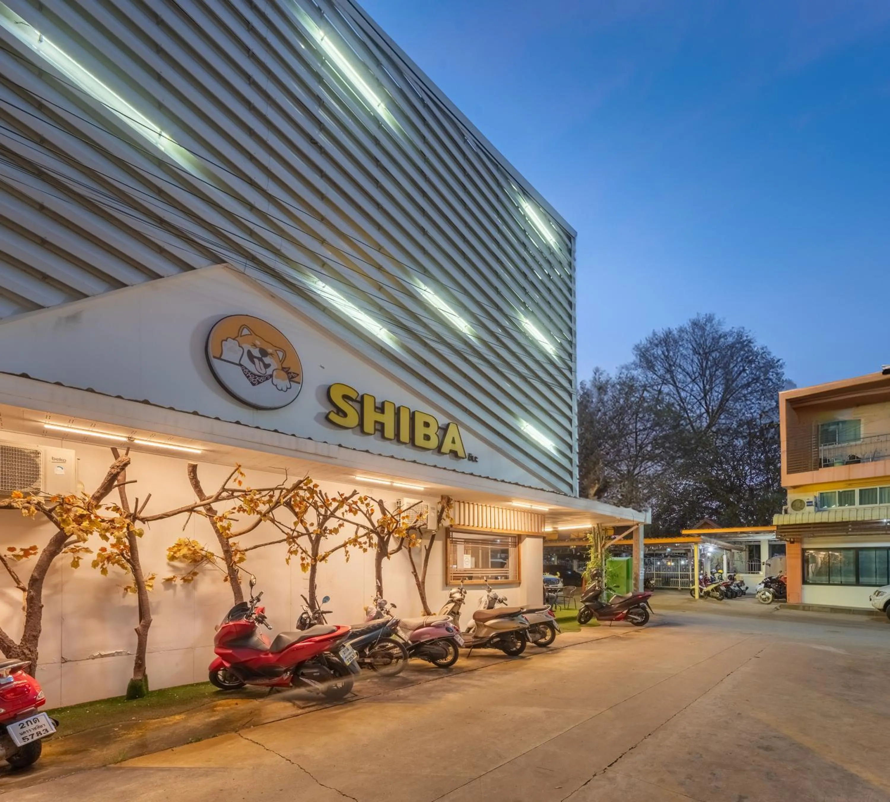 Property building in โรงแรมชิบะรูม นครราชสีมา สาขามหาวิทยาลัยเทคโนโลยีสุรนารี