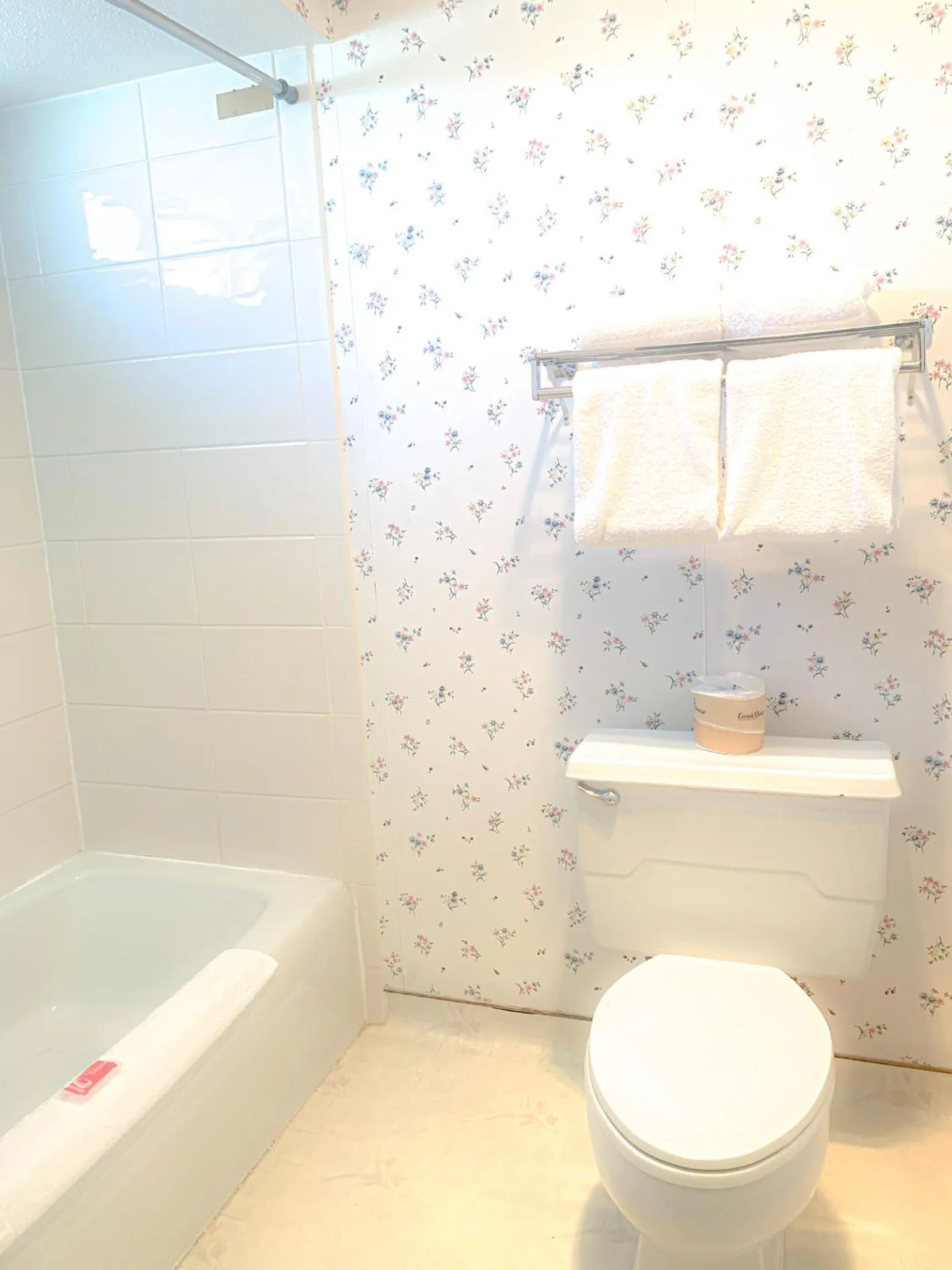 Bathroom in Econo Lodge Inn & Suites Winnemucca