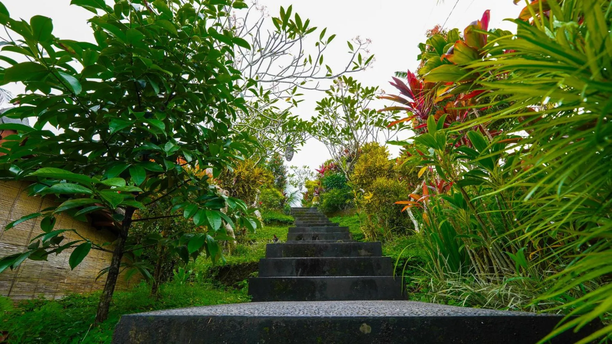 Garden view in Green Coconut Cottage
