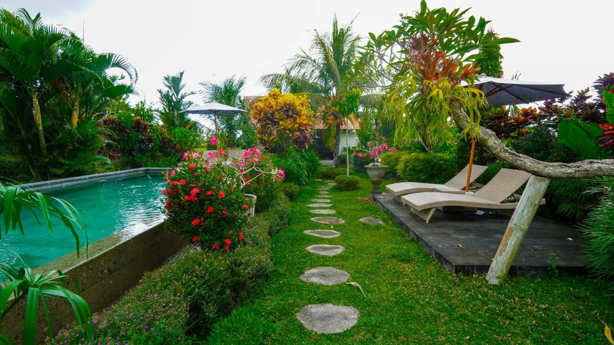Garden view in Green Coconut Cottage