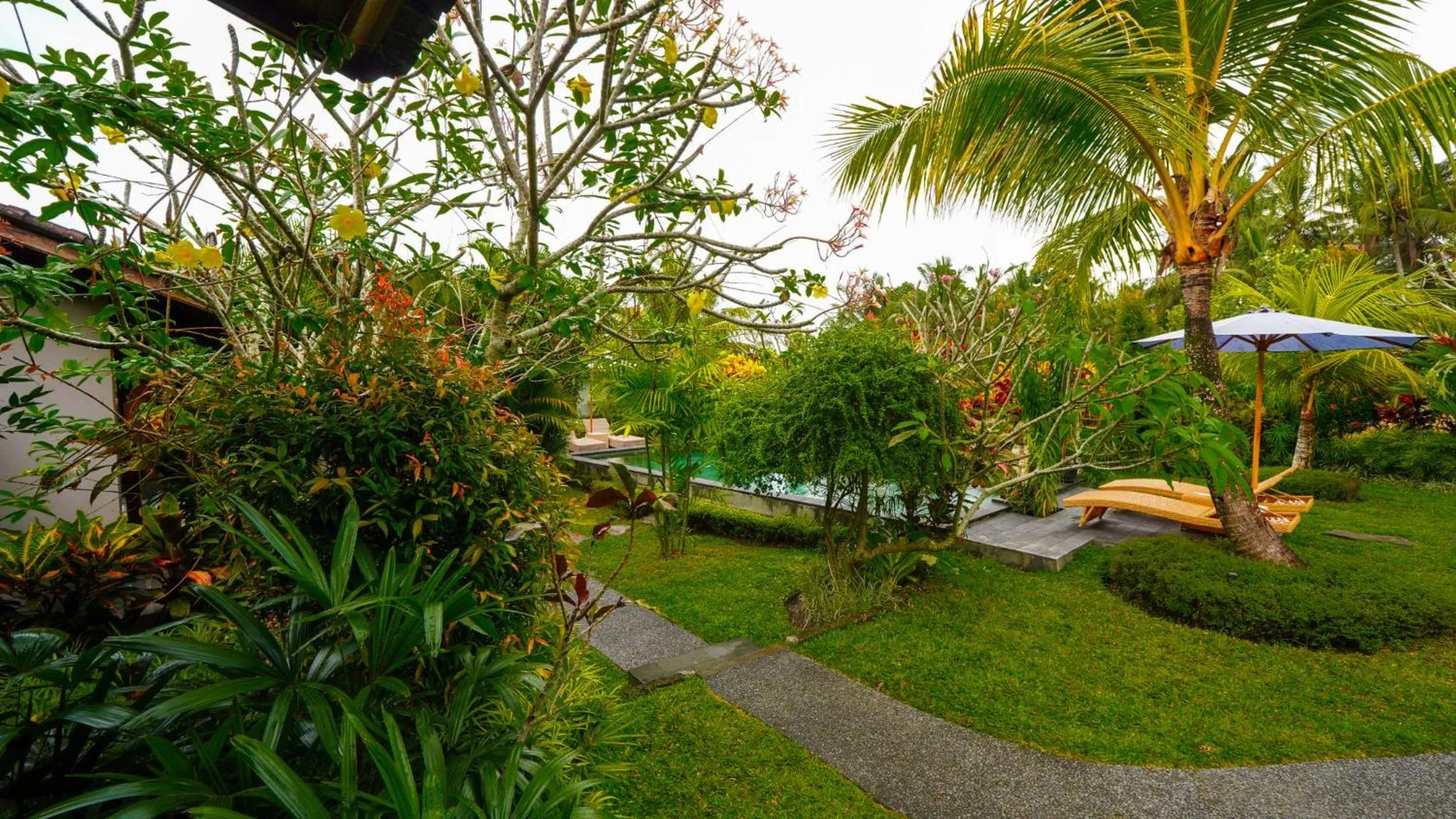 Garden view in Green Coconut Cottage