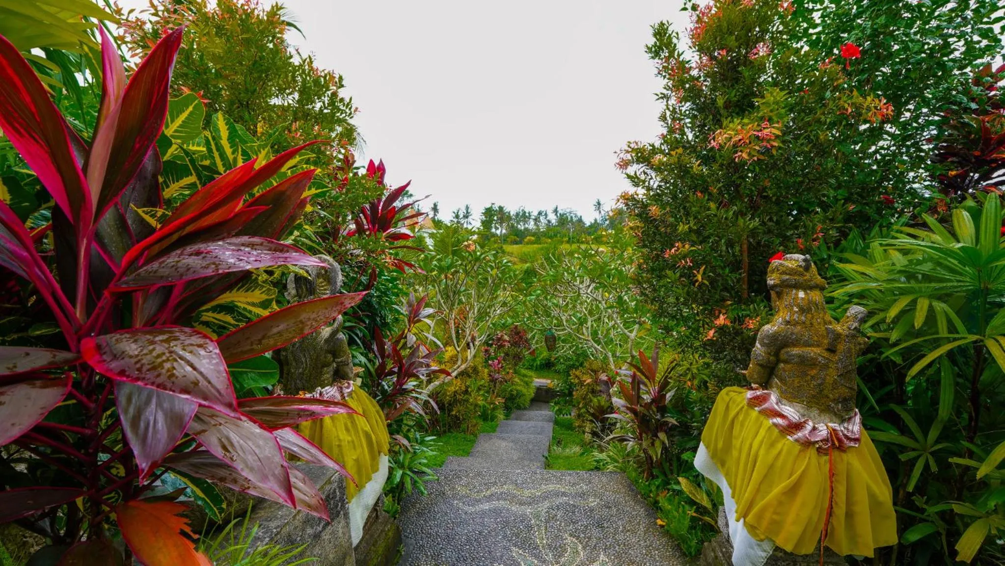 Natural landscape in Green Coconut Cottage