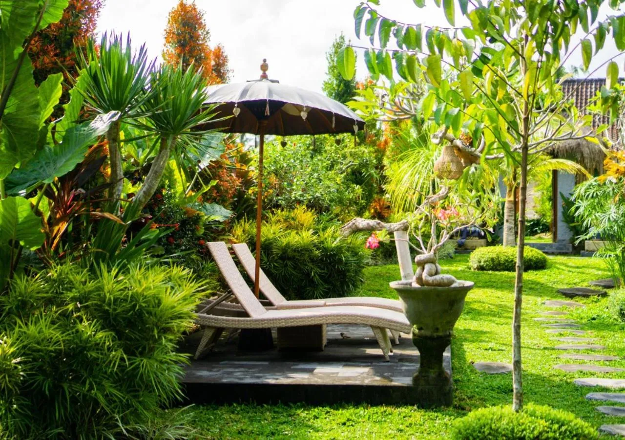 Day in Green Coconut Cottage