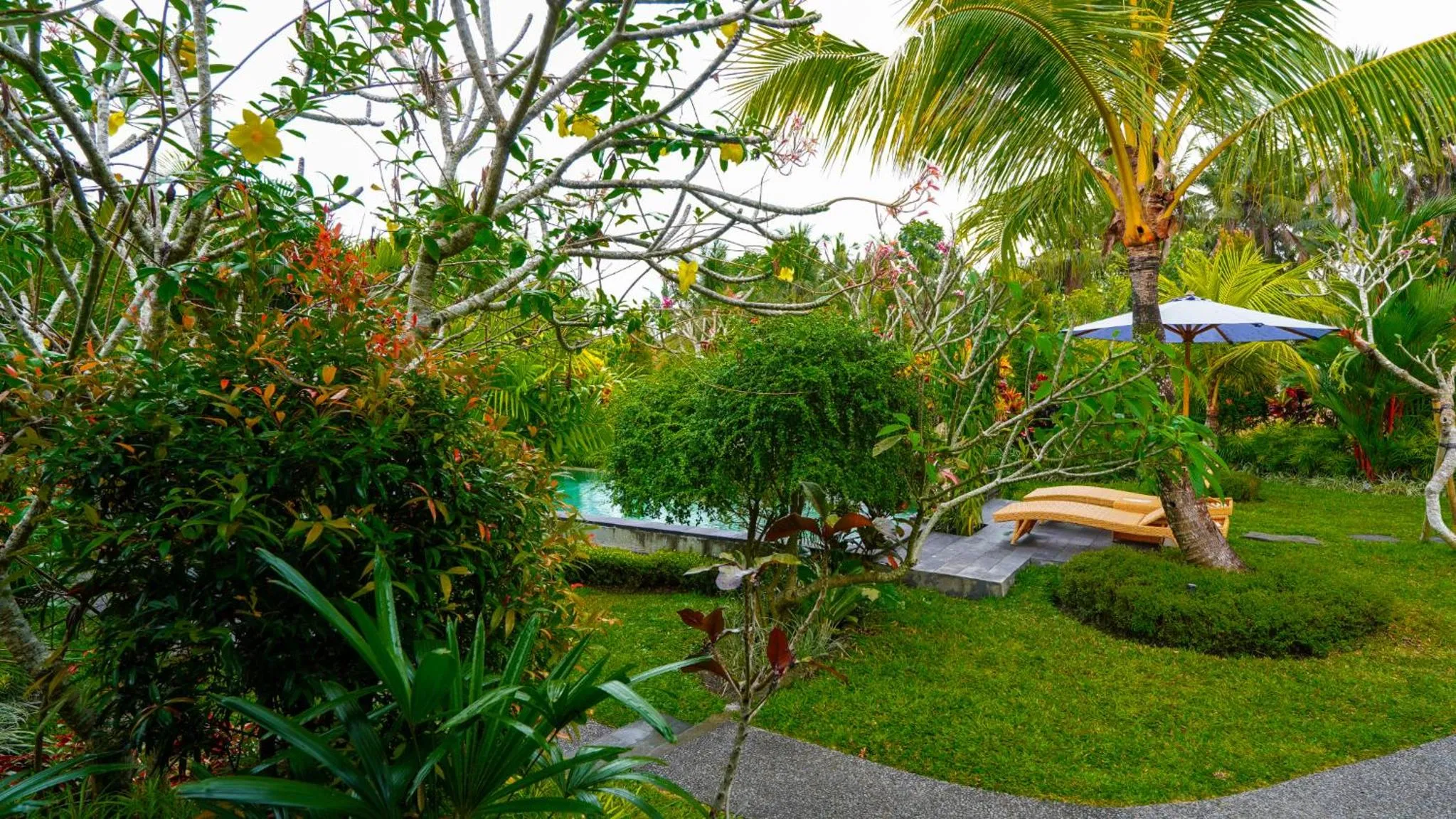Garden view in Green Coconut Cottage
