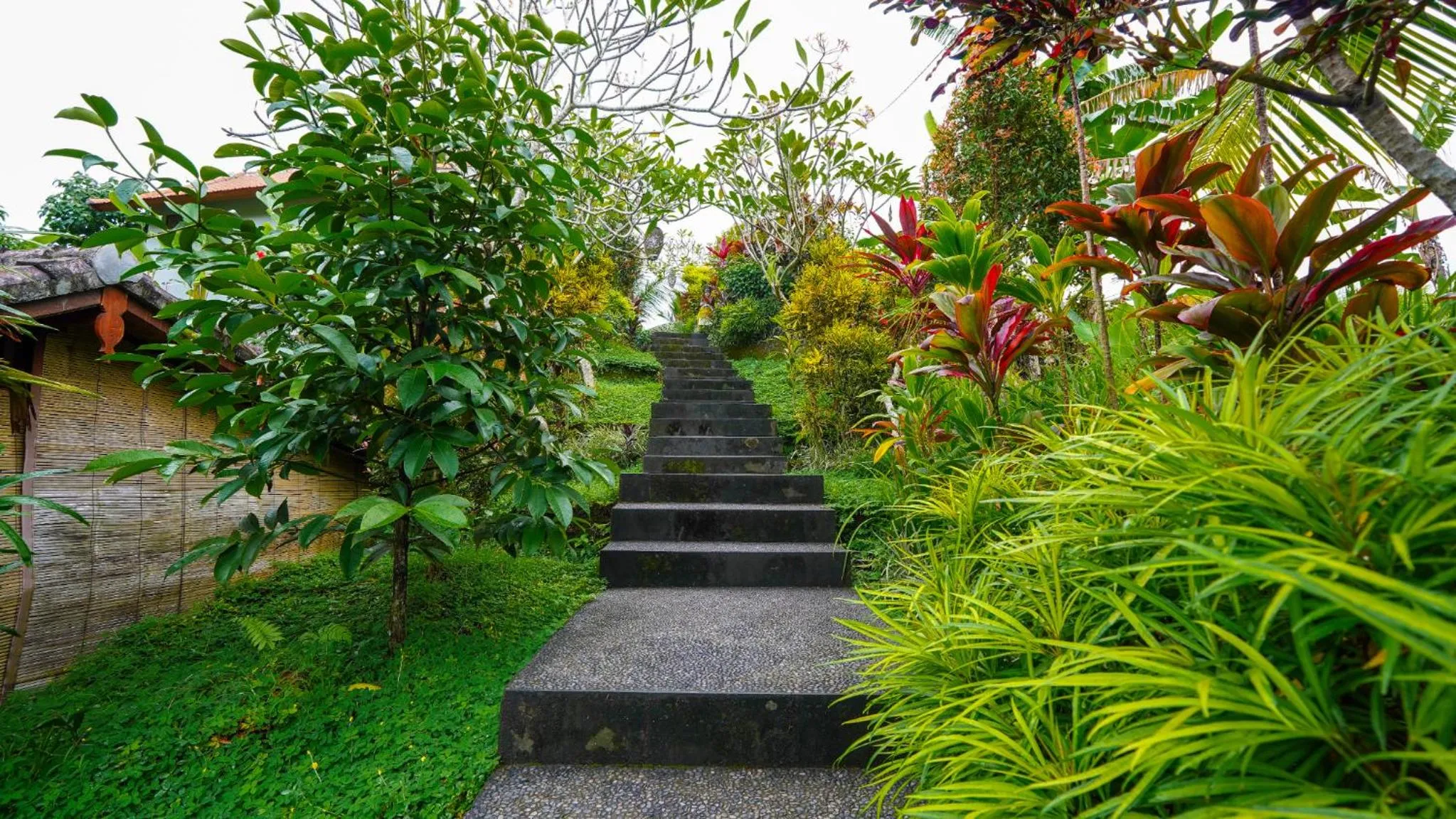 Garden view in Green Coconut Cottage