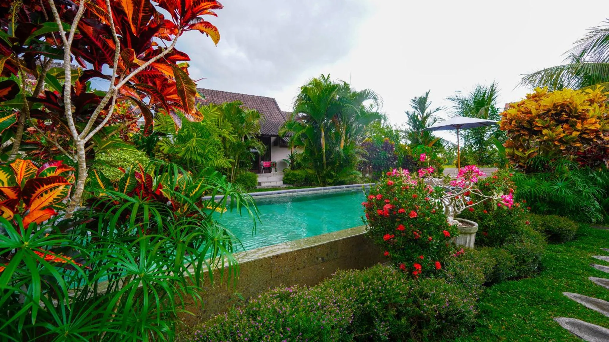 Garden view in Green Coconut Cottage