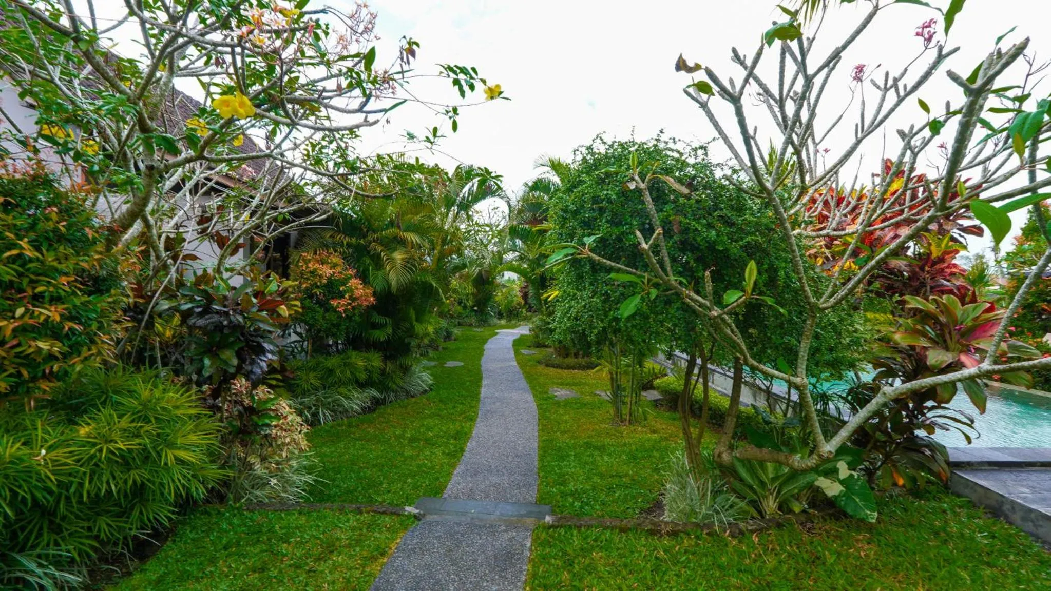Garden view in Green Coconut Cottage