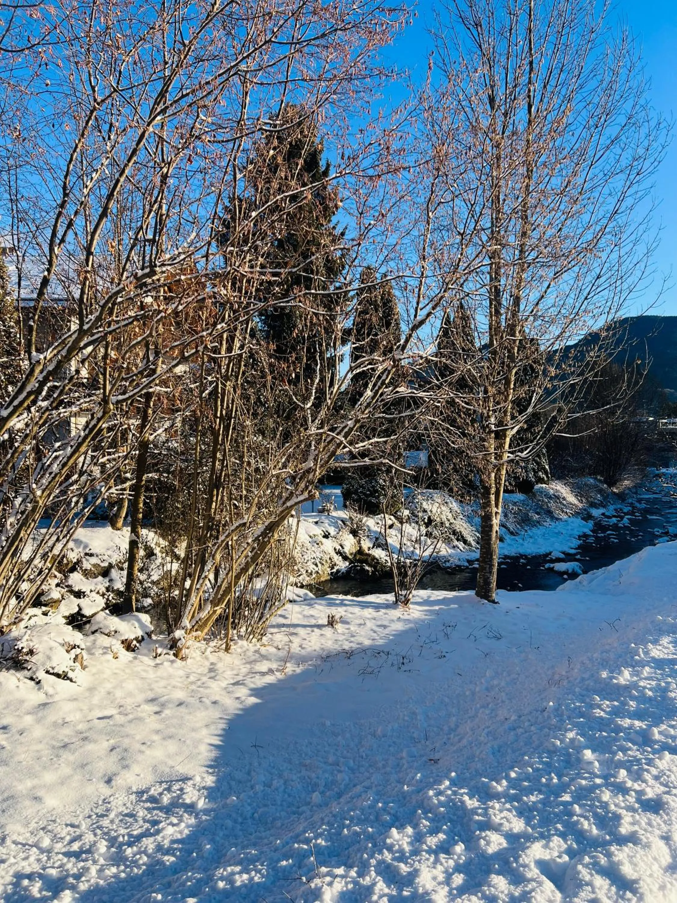 Garden in Hotel Quellenhof