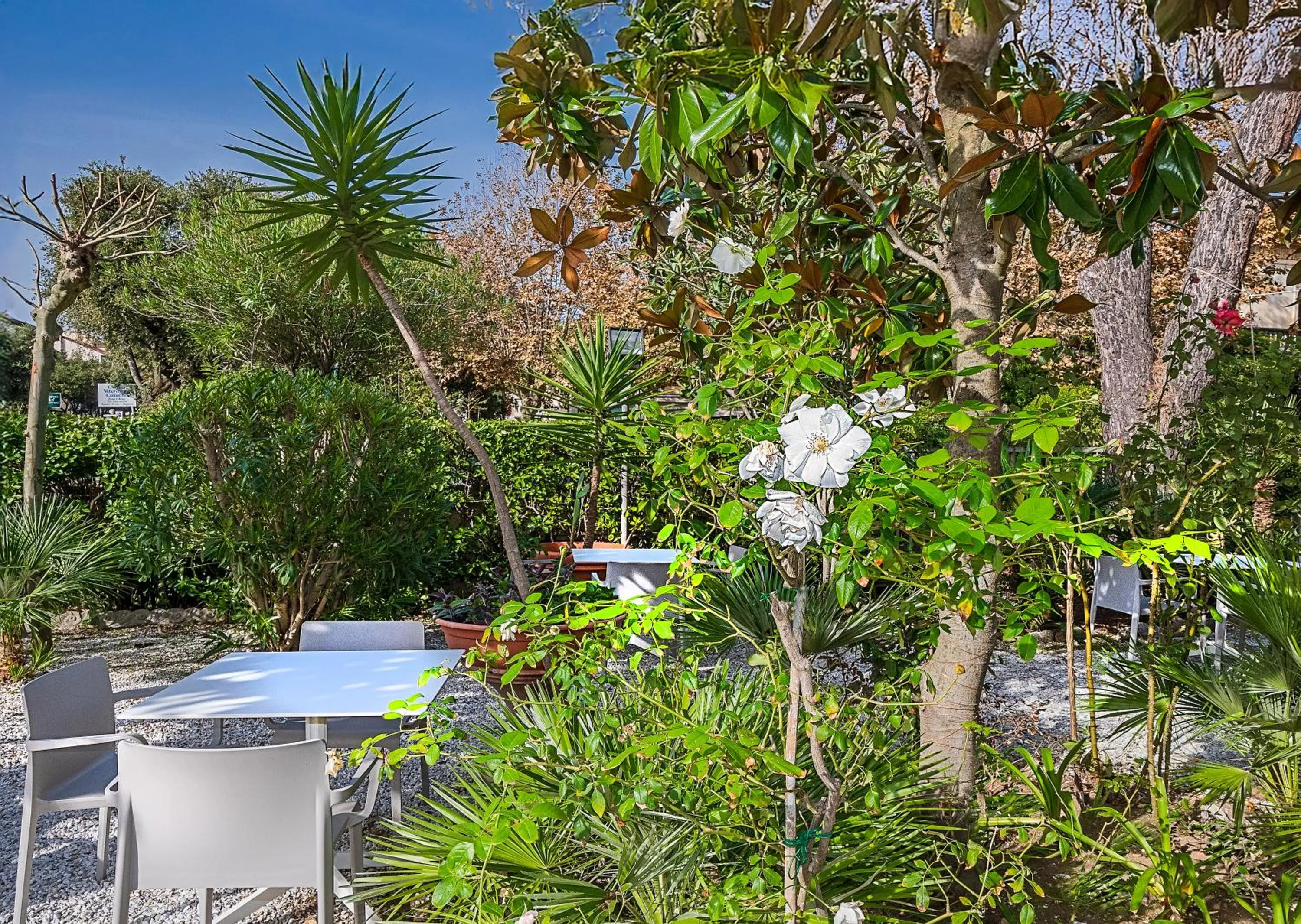 Garden in Hotel Mariotti