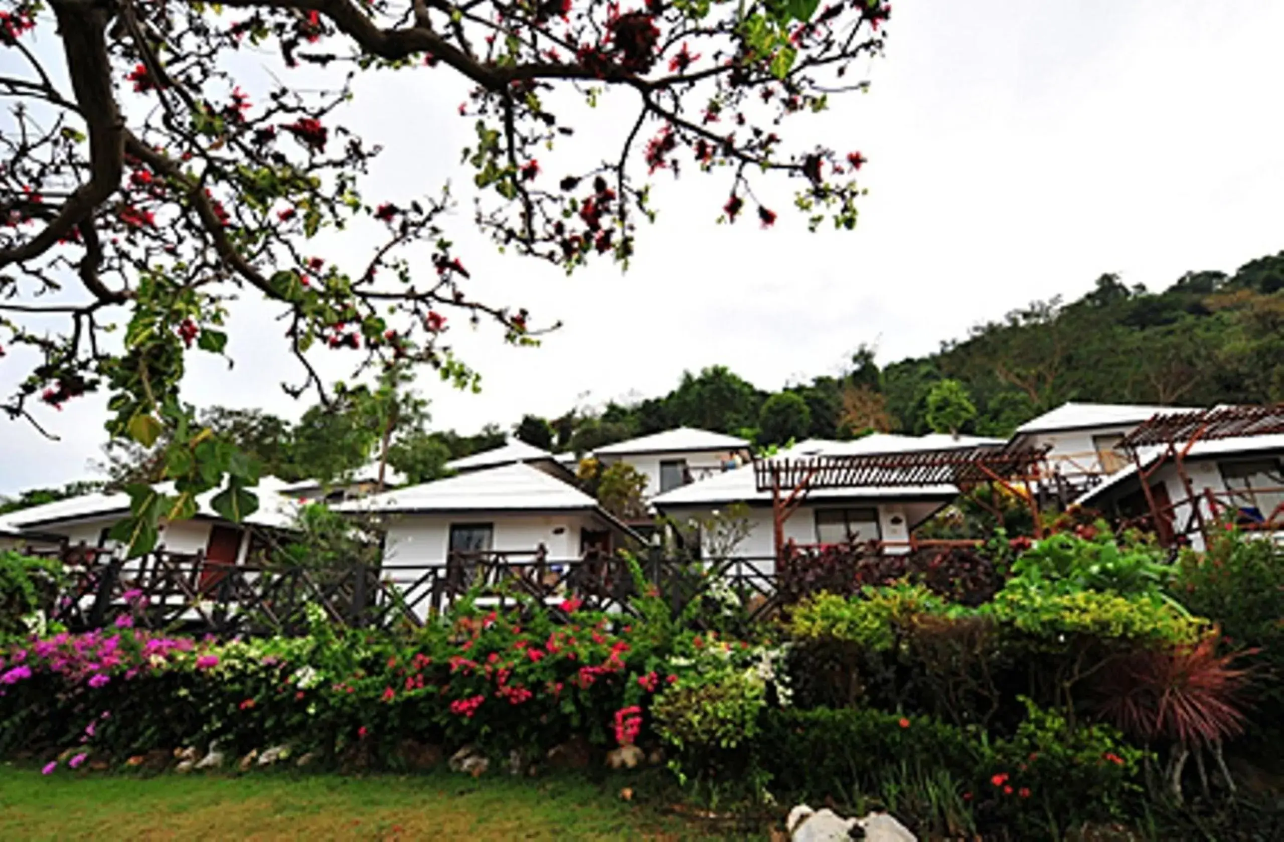 Facade/entrance in Samed Cliff Resort Facade/entrance in Samed Cliff Resort