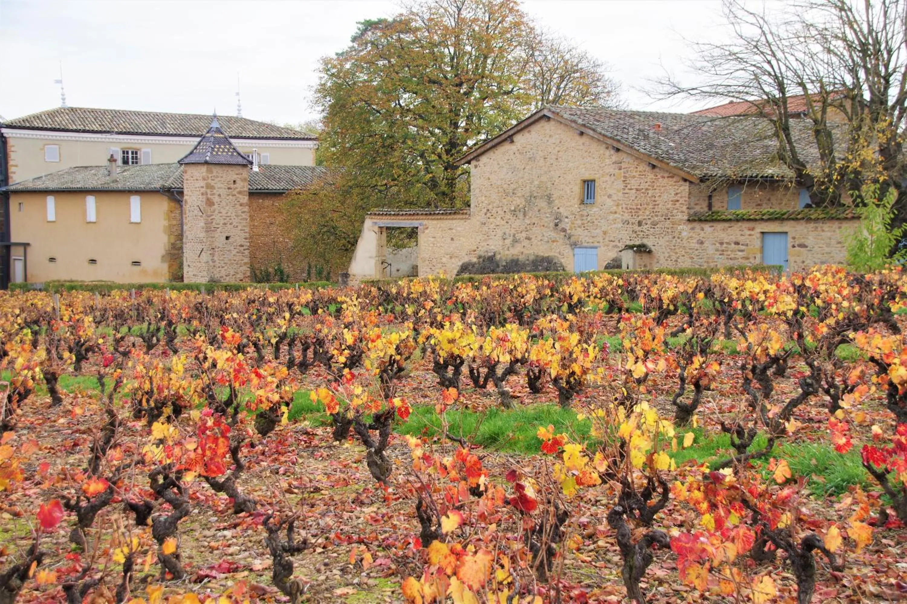 Nearby landmark in Le vieux pont