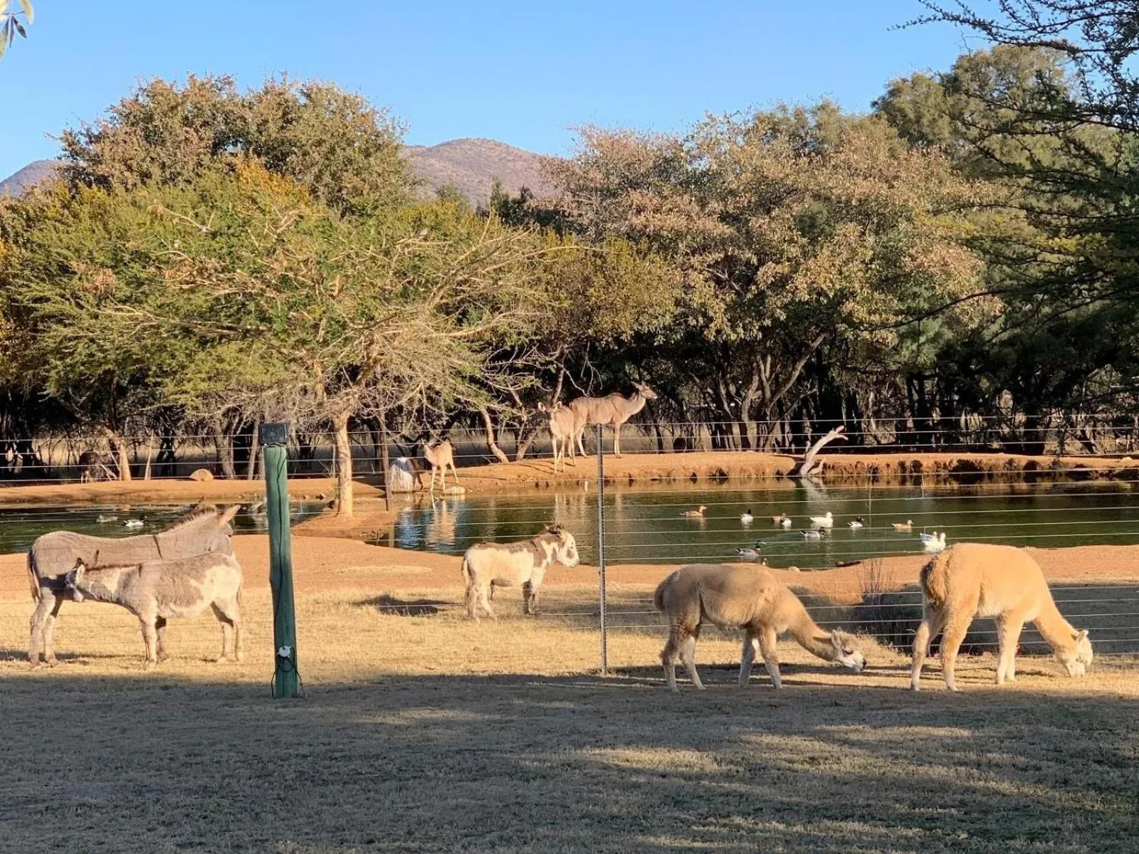 Lake view in Tula Baba Game Lodge