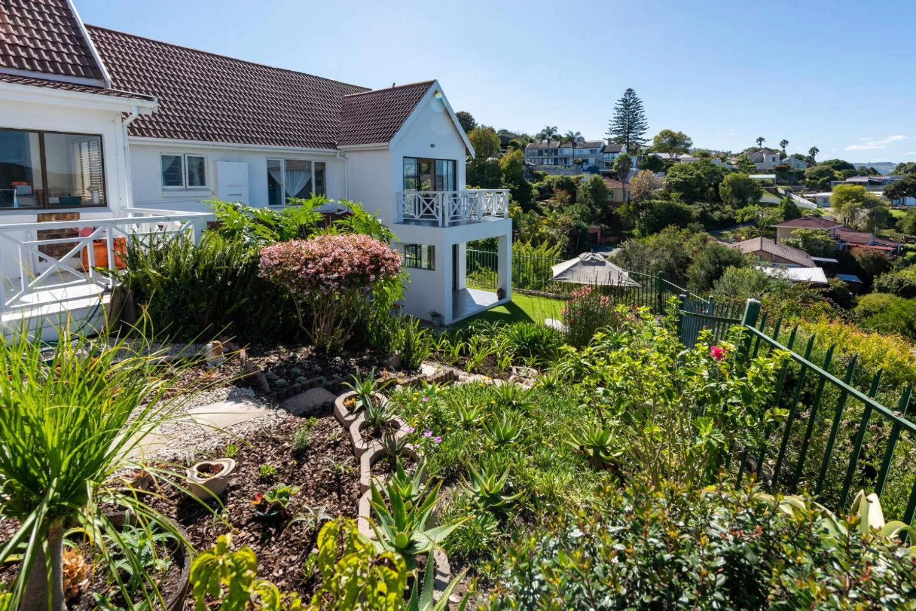 Garden in 6 On Protea