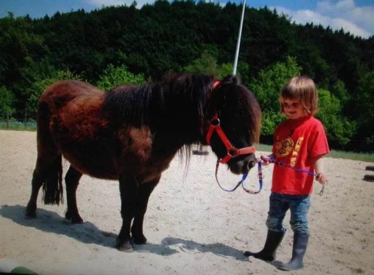 Animals in Hotel Zur Burg Sternberg