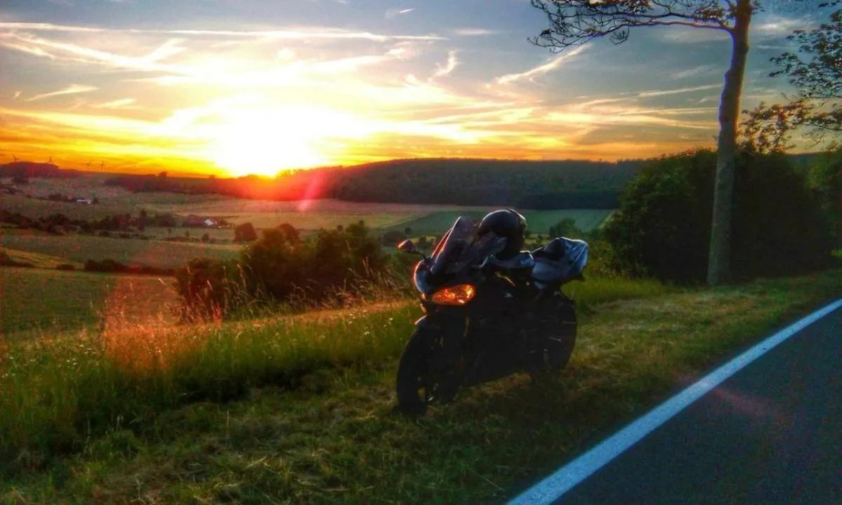 Activities in Hotel Zur Burg Sternberg