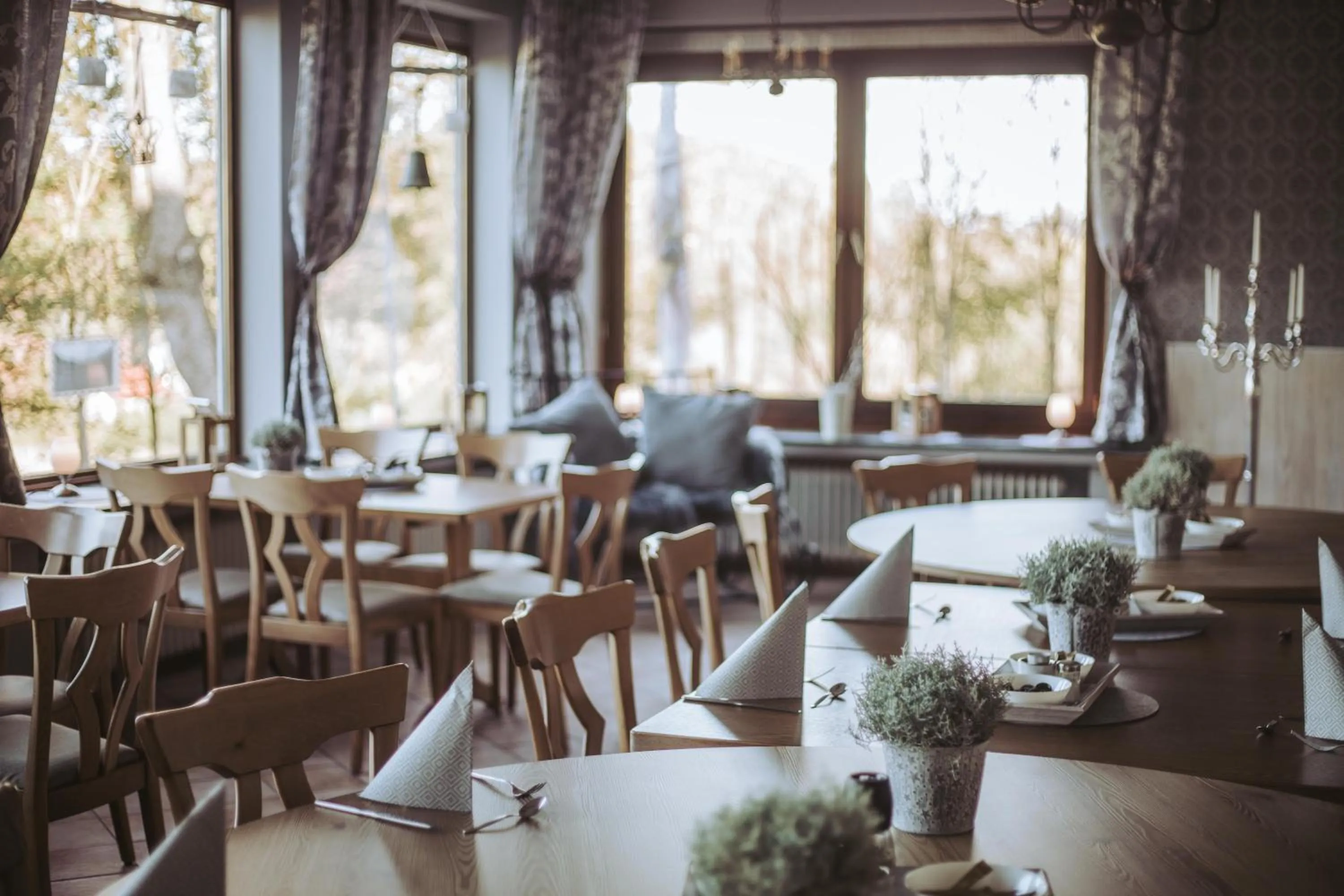 Restaurant/places to eat in Hotel Zur Burg Sternberg