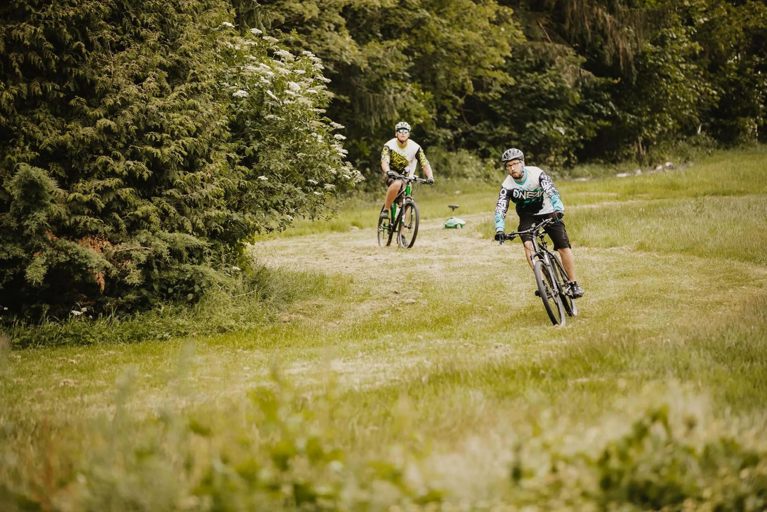 Activities in Hotel Zur Burg Sternberg
