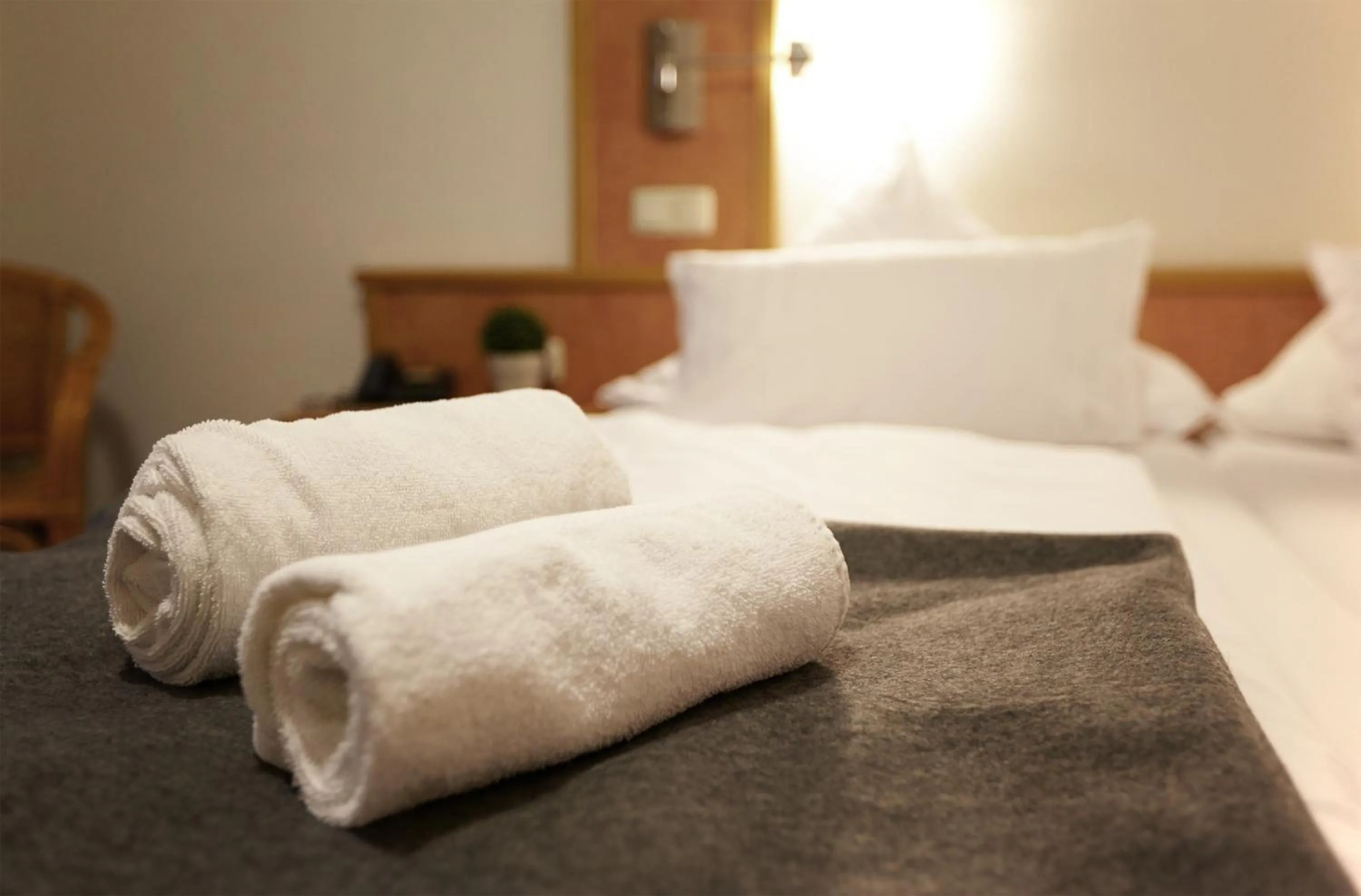 Photo of the whole room, Bed in Hotel Zur Burg Sternberg