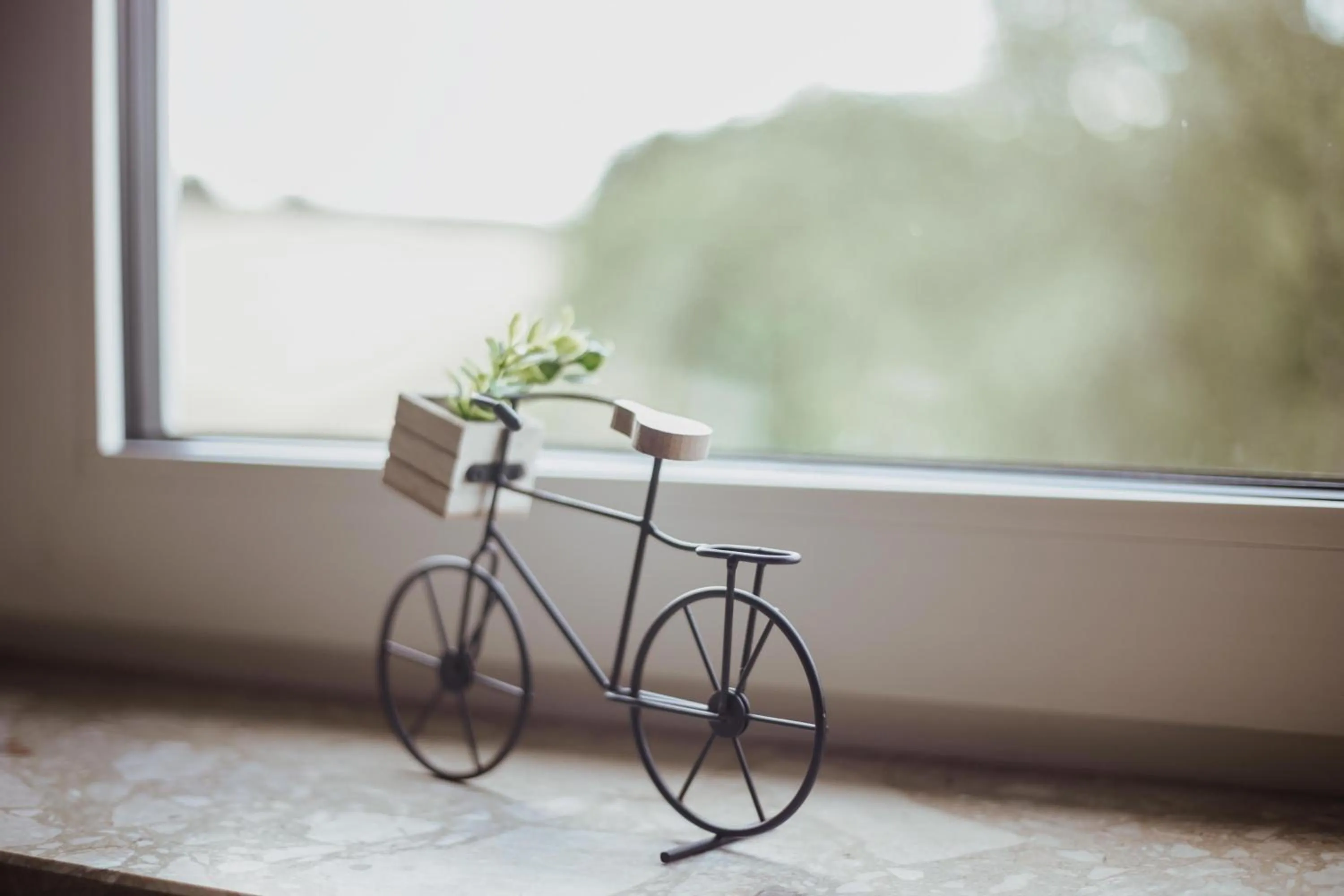 Photo of the whole room in Hotel Zur Burg Sternberg