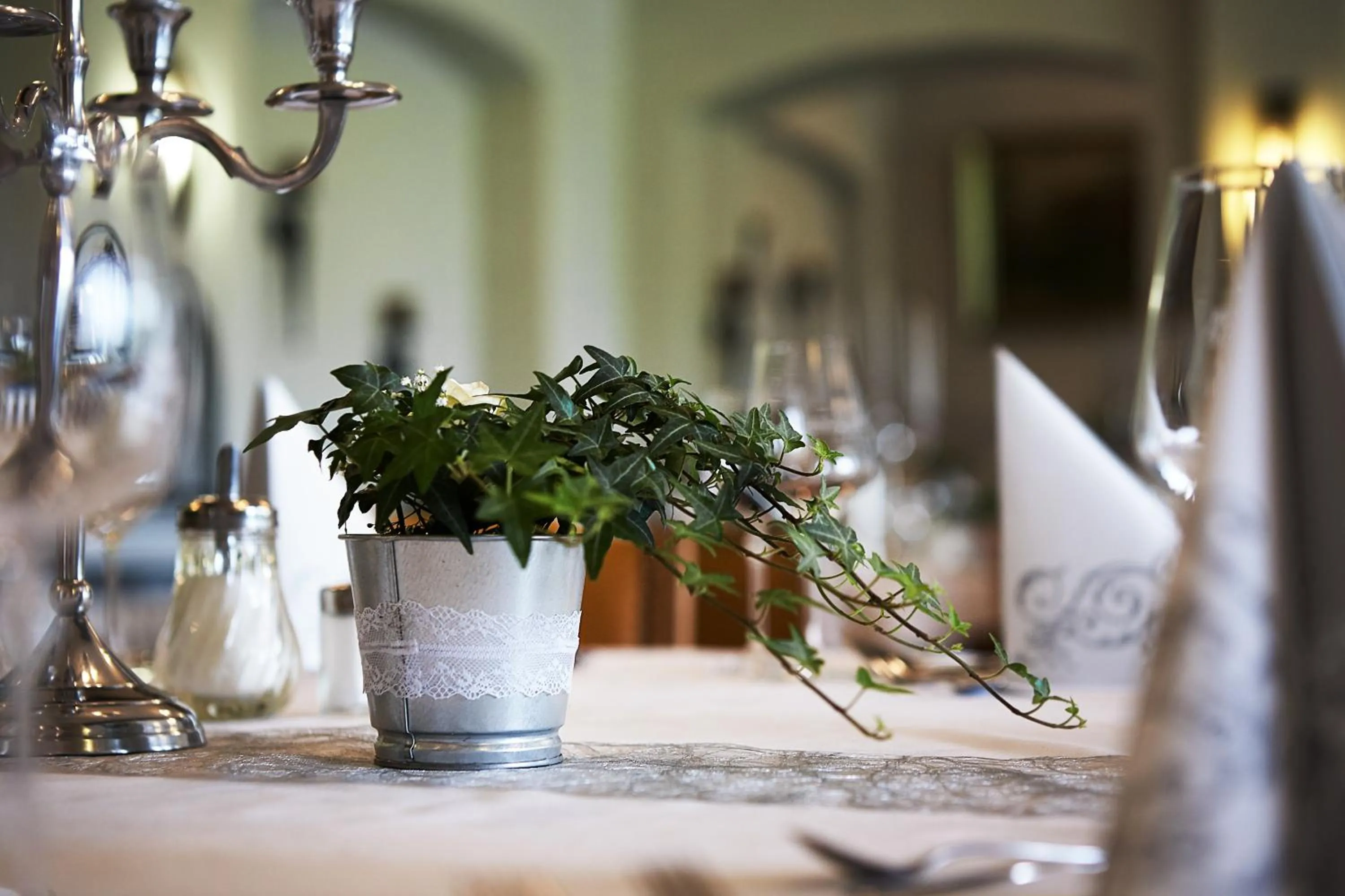 Restaurant/places to eat in Hotel Zur Burg Sternberg