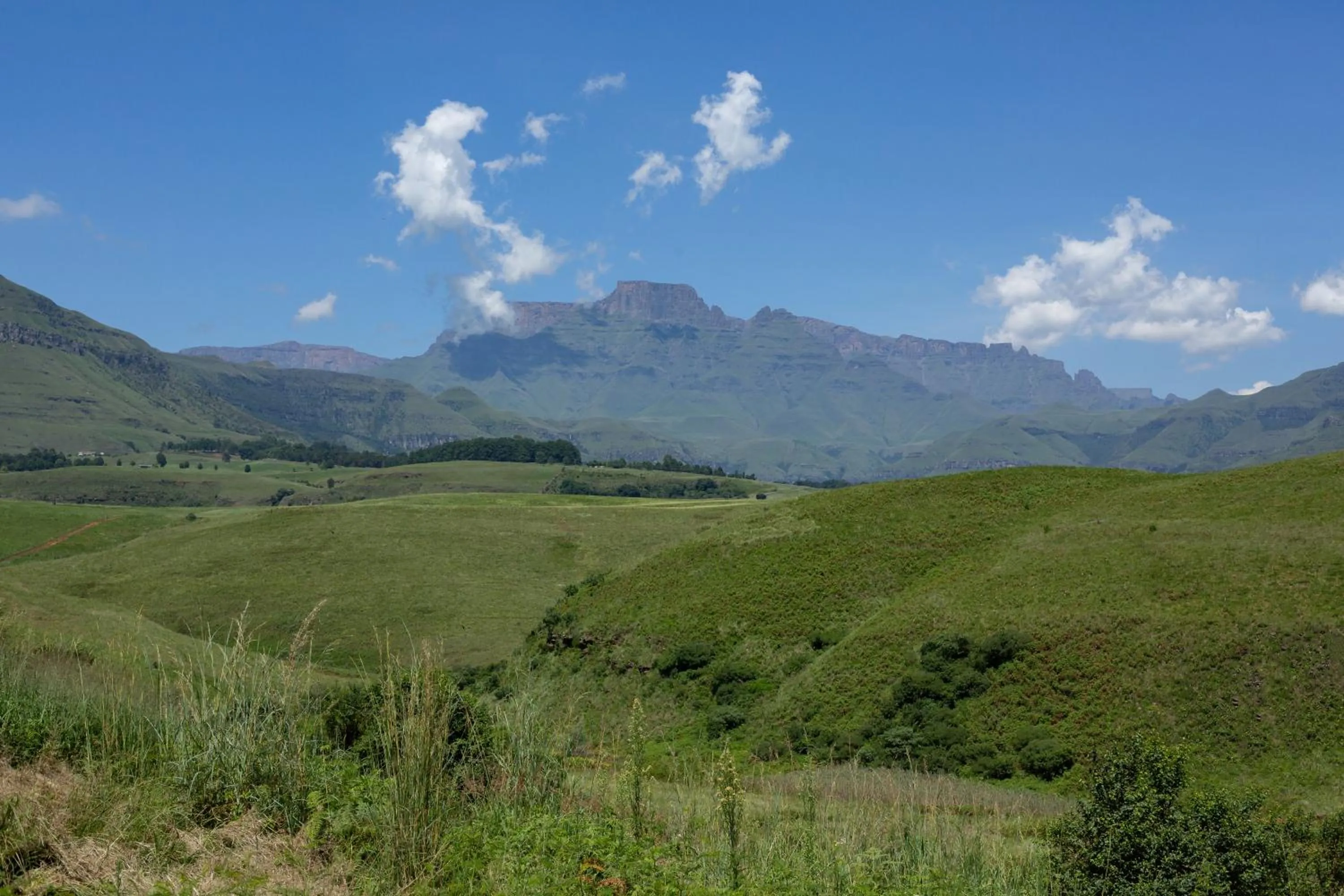 Natural landscape in Dragonview Lodge