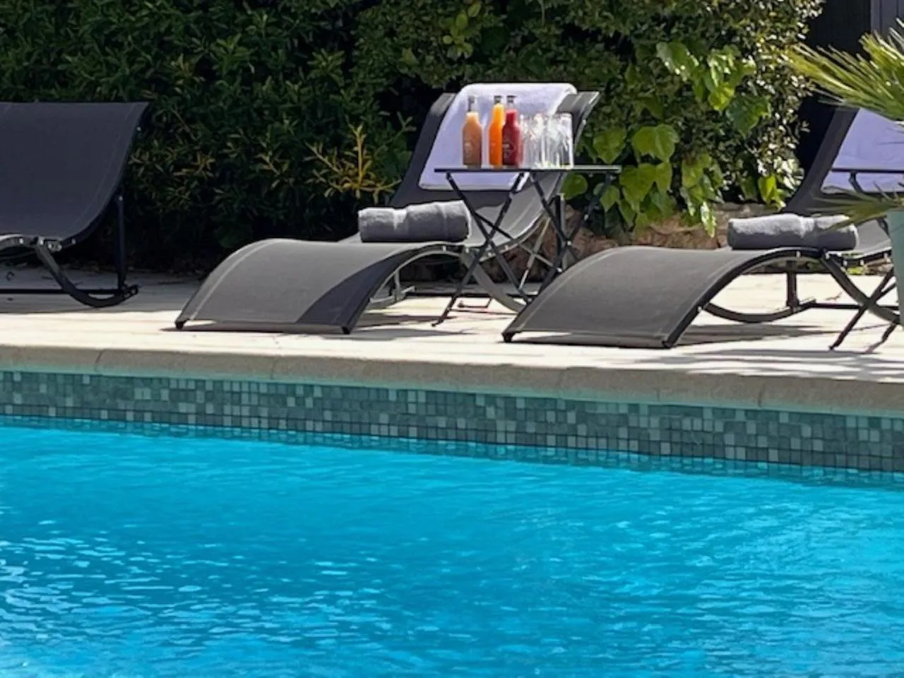 Swimming pool in Le Château d'Argens