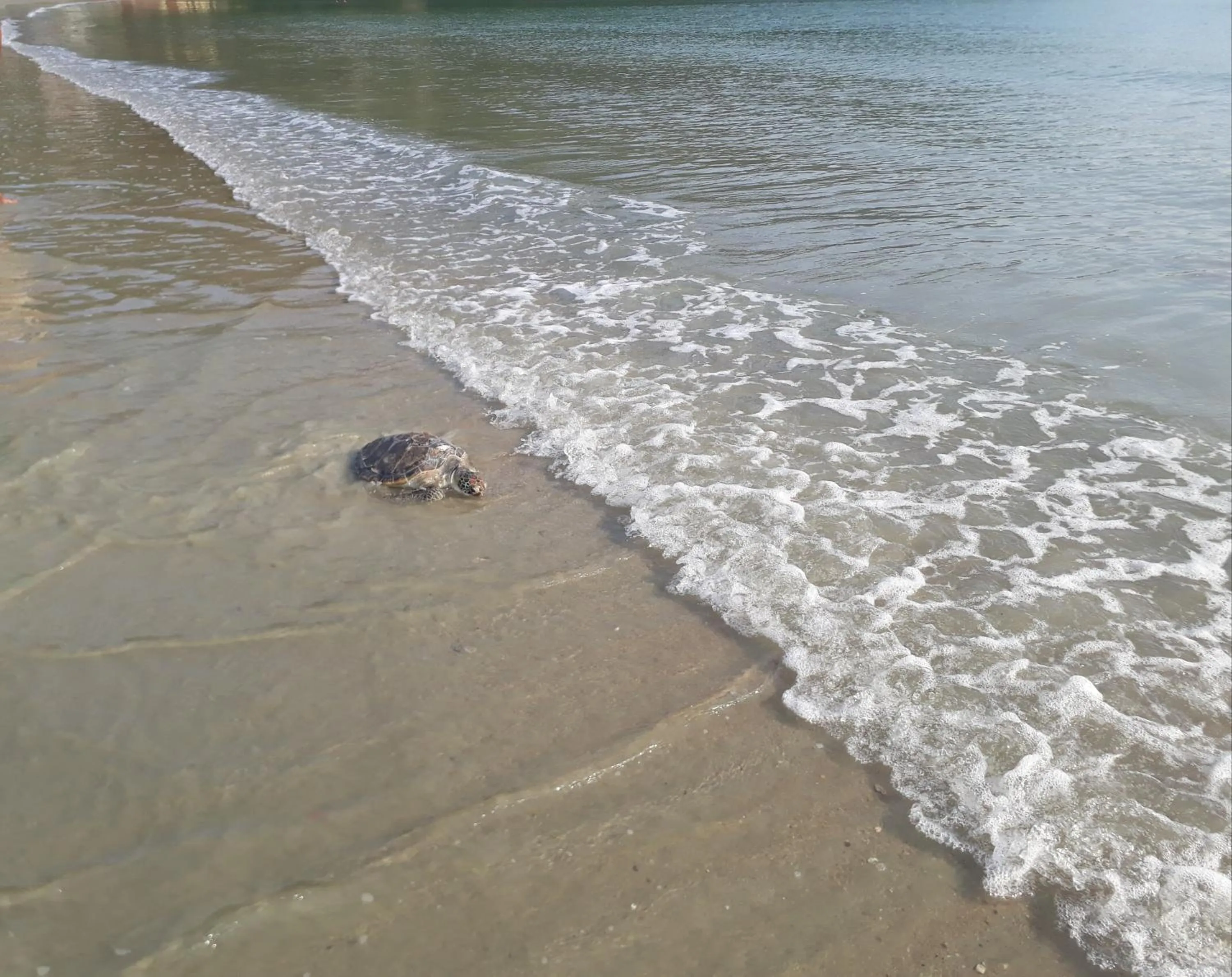 Cobertura na Enseada a 80 m da areia