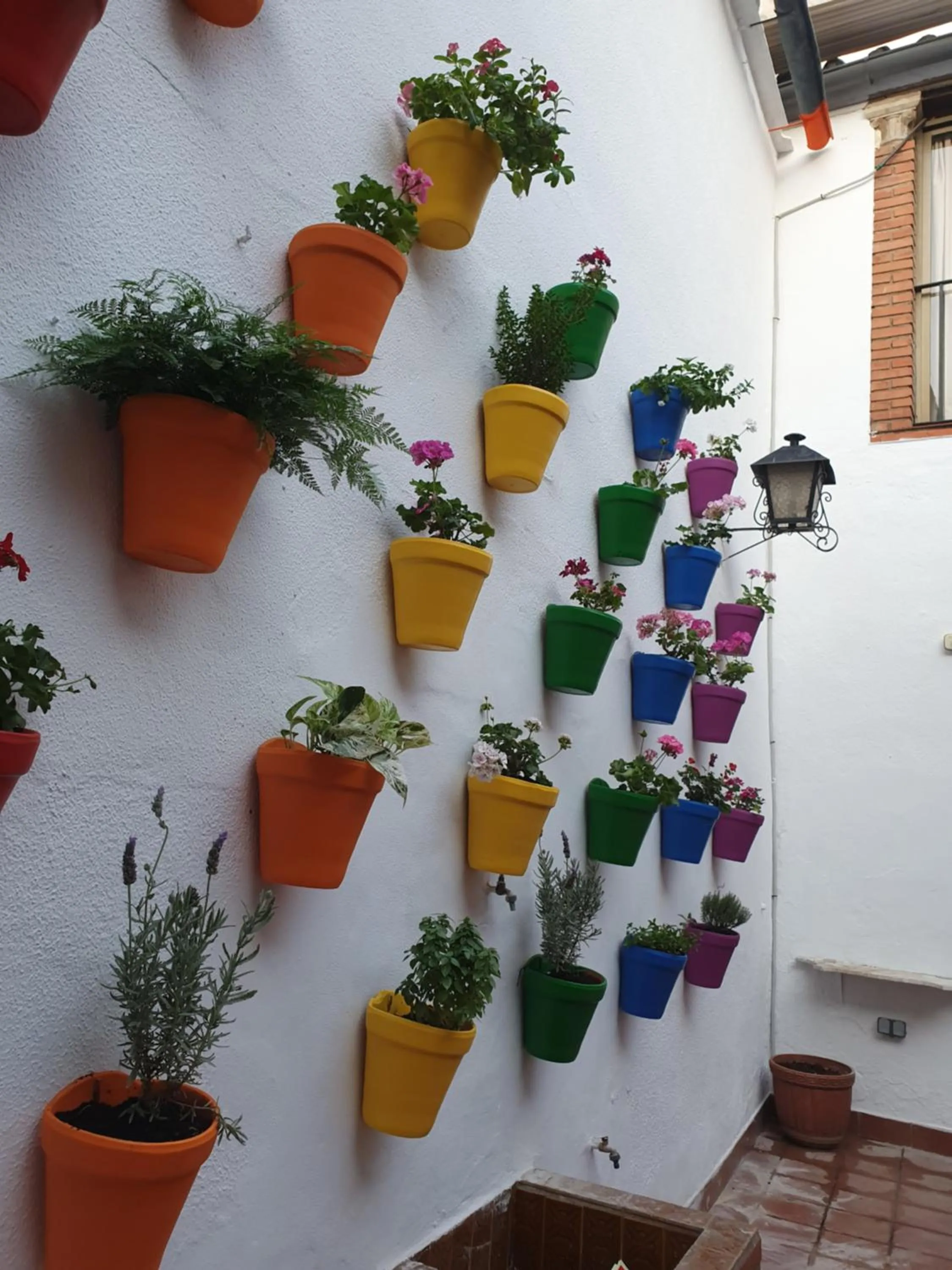 Patio in Arc House Córdoba Only Adults