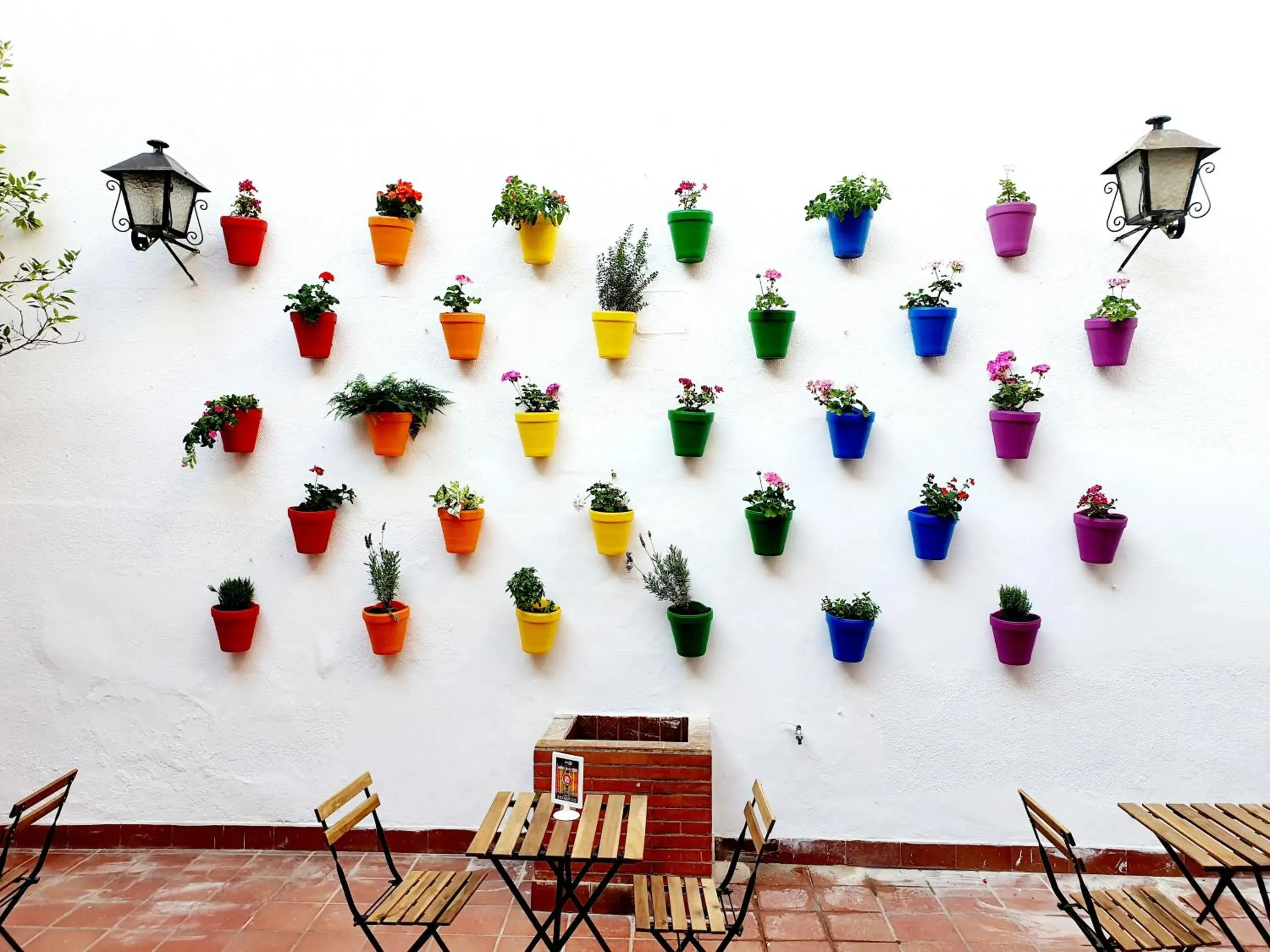 Garden view in Arc House Córdoba Only Adults Garden view in Arc House Córdoba Only Adults