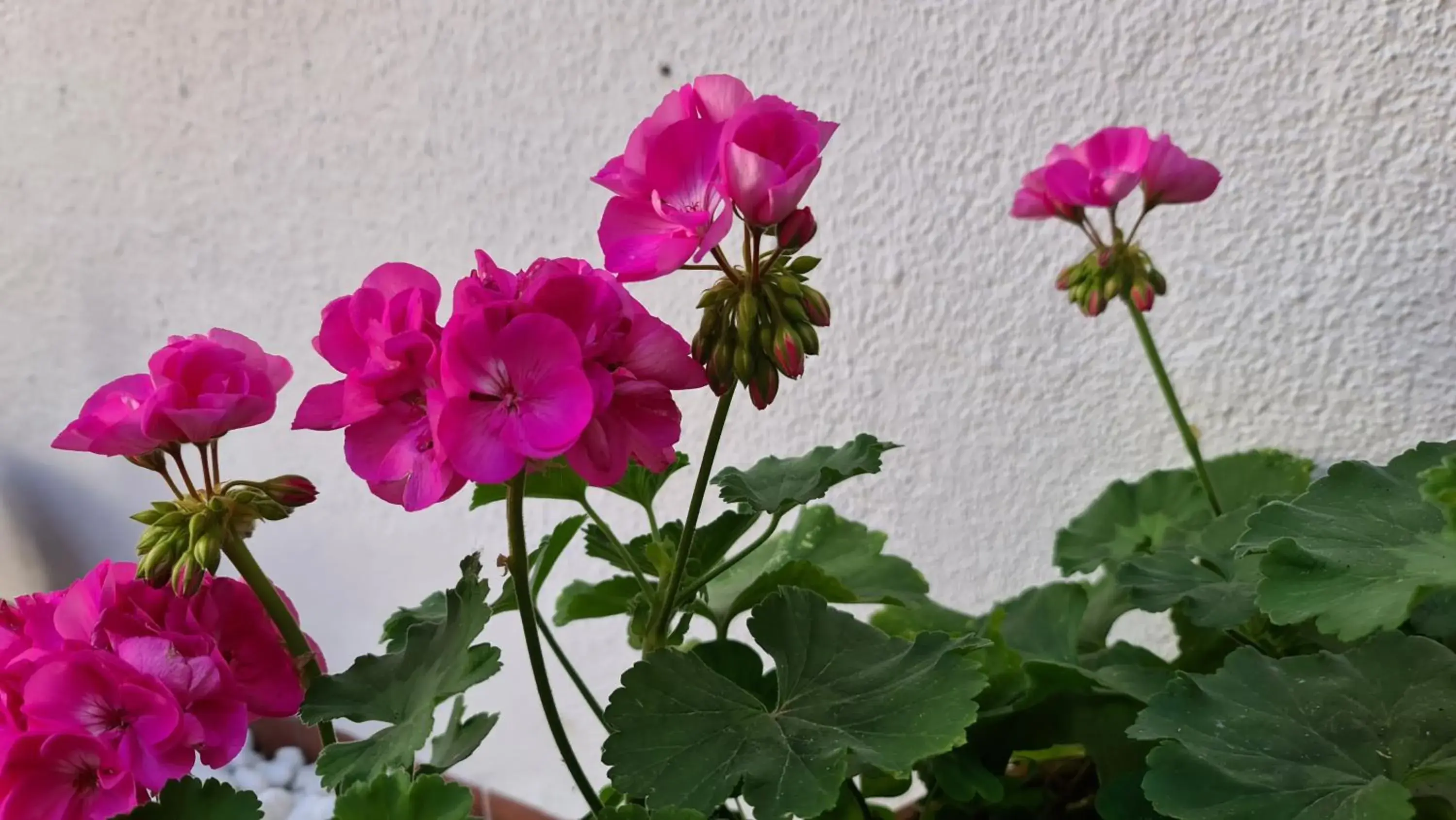 Property building in Arc House Córdoba Only Adults Property building in Arc House Córdoba Only Adults