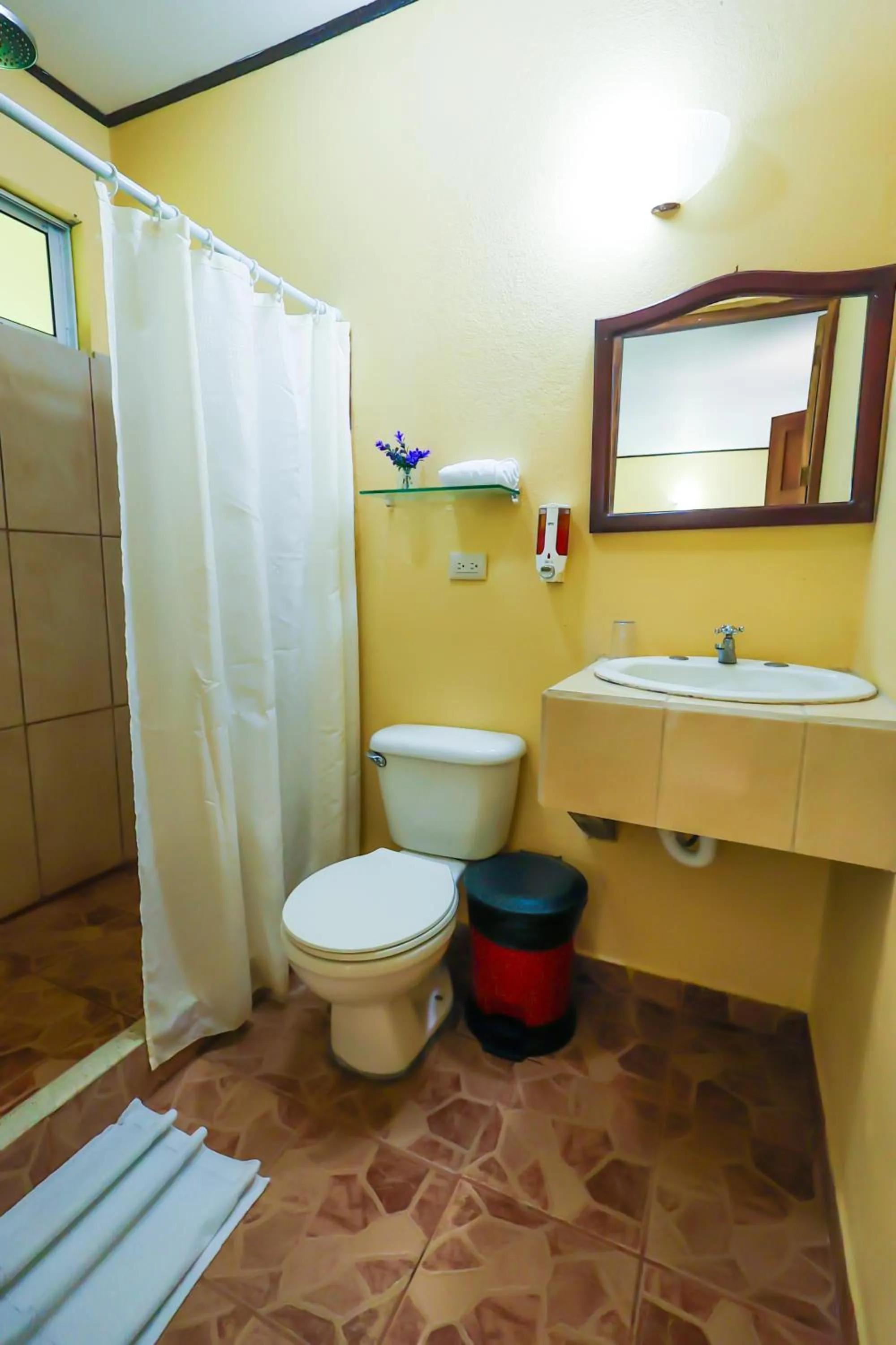 Toilet in Confort Arenal