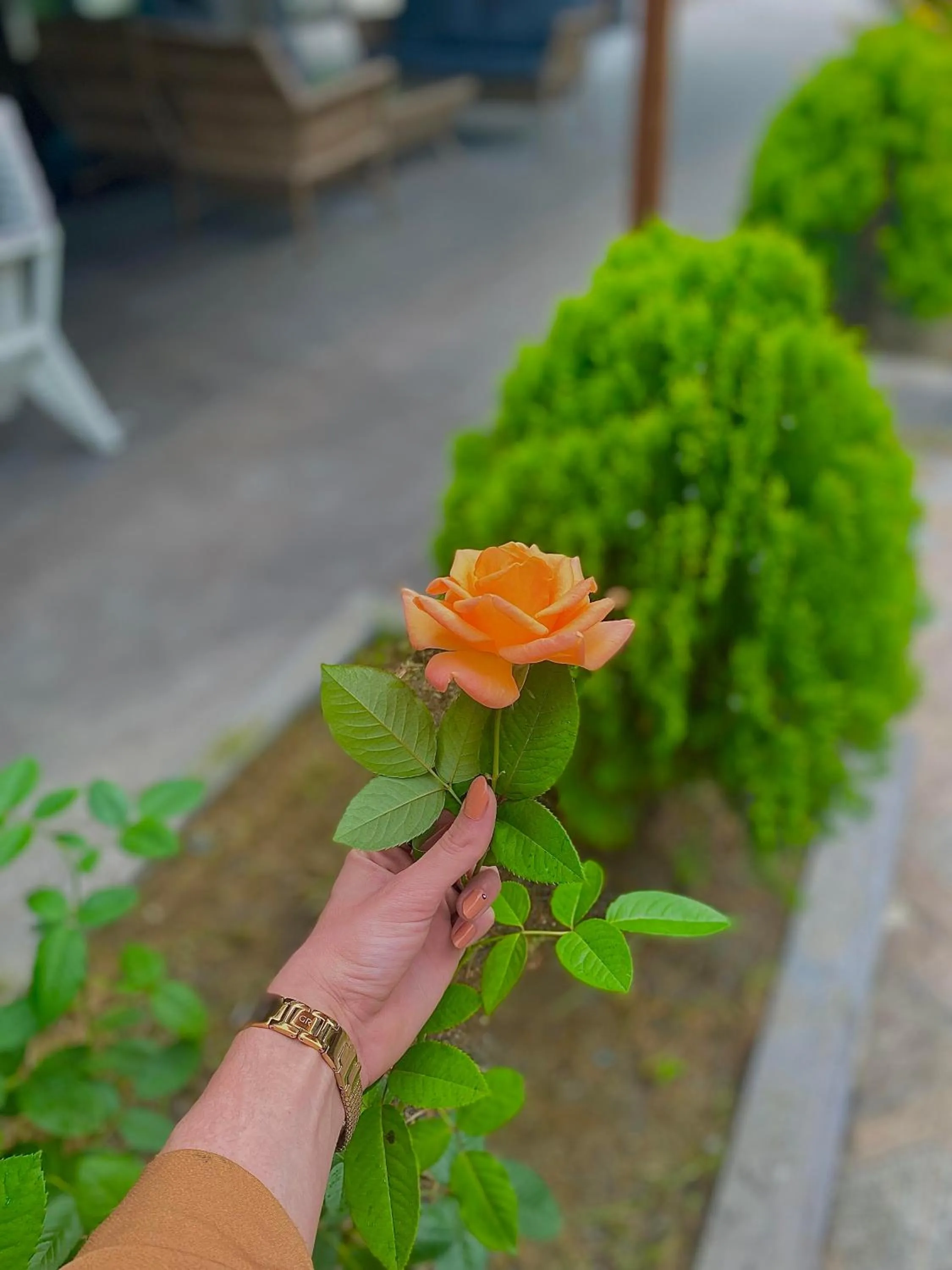 Property building in River Didi Otel