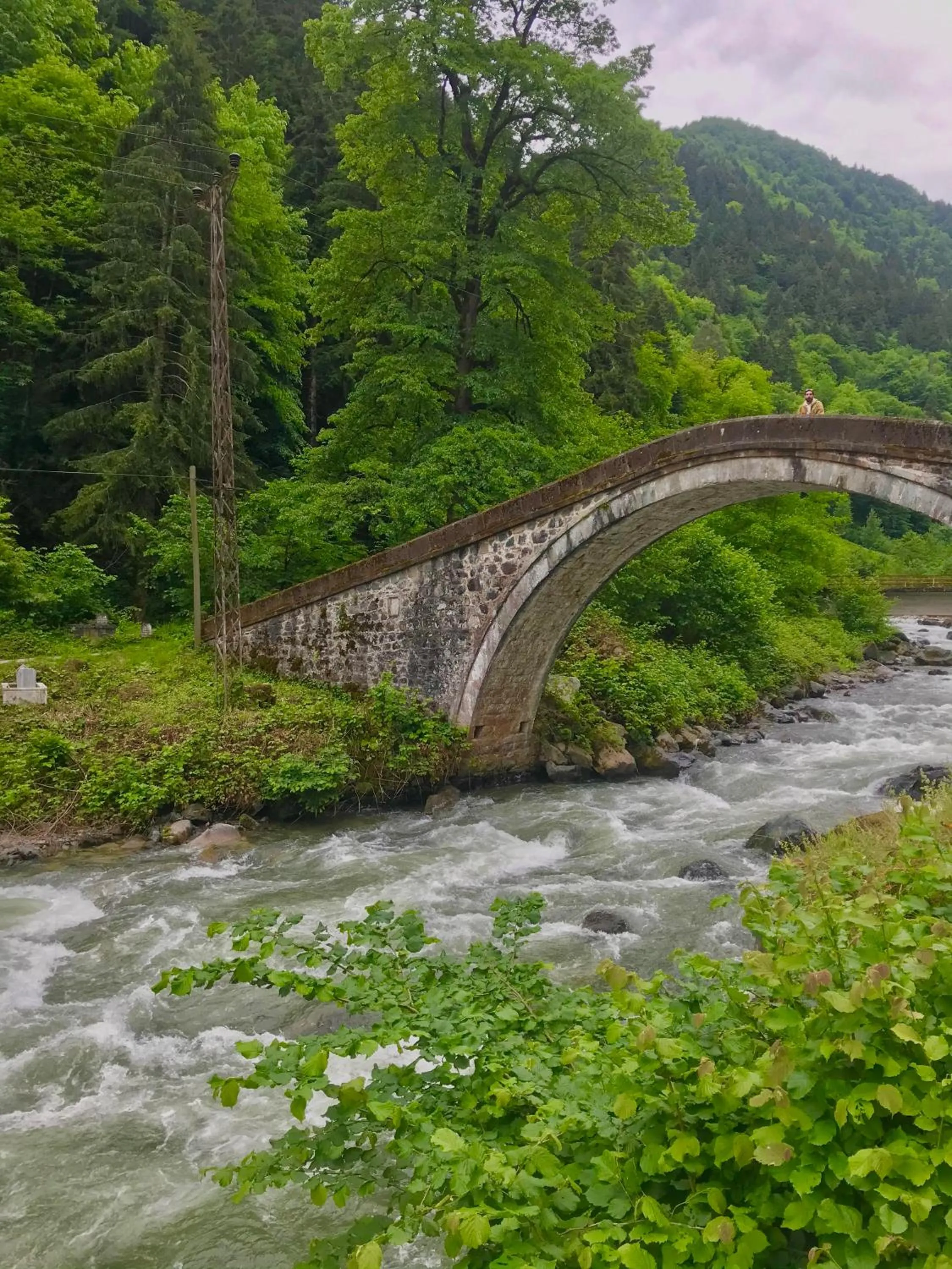 Natural landscape in River Didi Otel